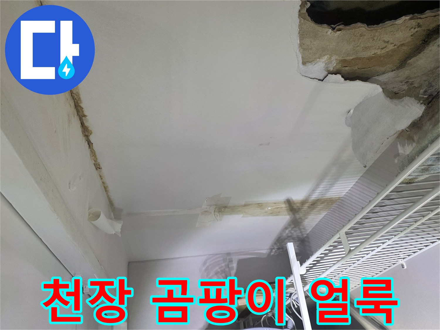 천장 마감재 사이로 보이는 누수 흔적과 곰팡이 오염 부위