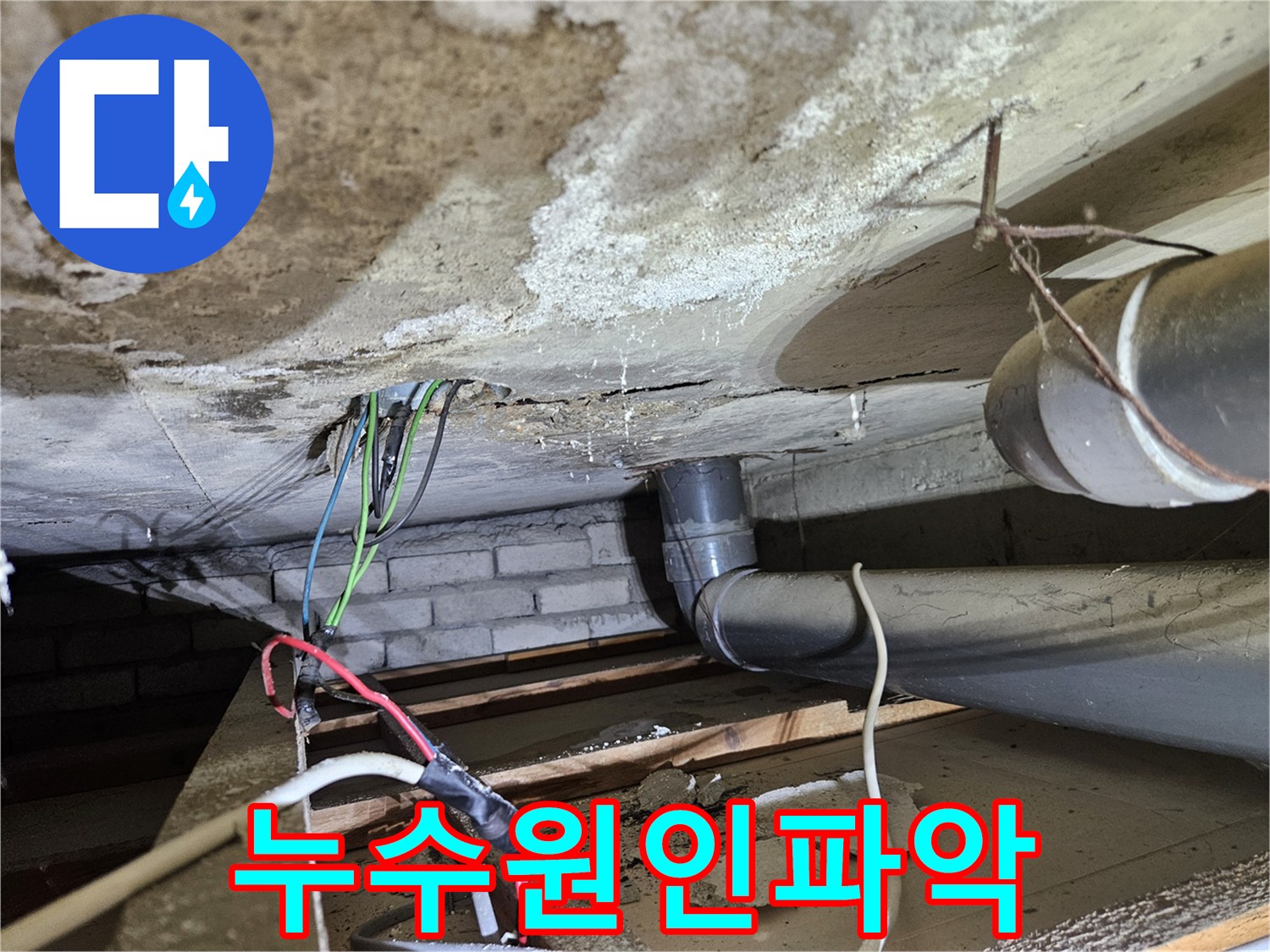 누수-전문가가-진단하는-오수배관-누수-현장