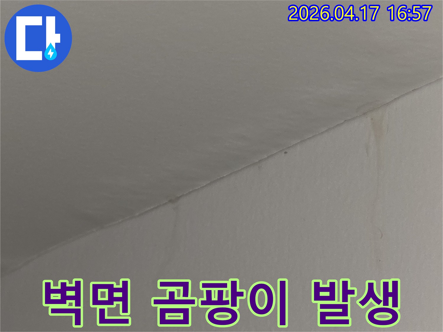천장과 벽의 경계에서 시작된-물자국과 함께 곰팡이가 번식하는 벽면을 보여주는 사진입니다