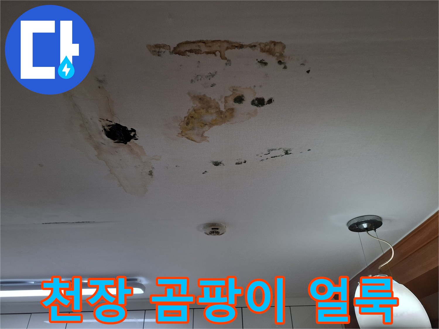 갈색 물자국과 검은 곰팡이가 퍼진 아파트 천장 내부 상태