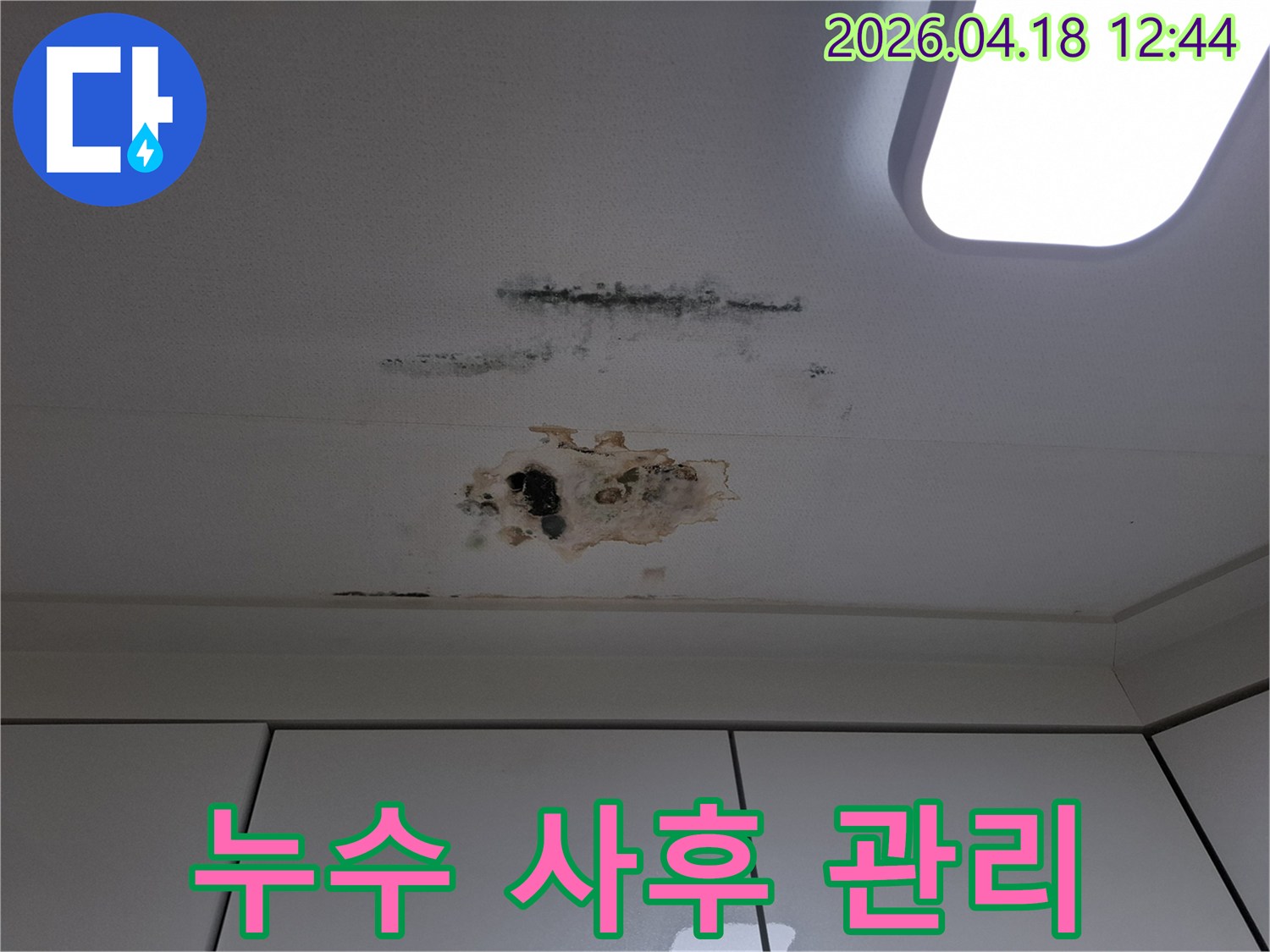 누수로-인해-천장-마감재가-손상되고-곰팡이가-번식한-아파트-천장-부분-사후-관리가-중요함