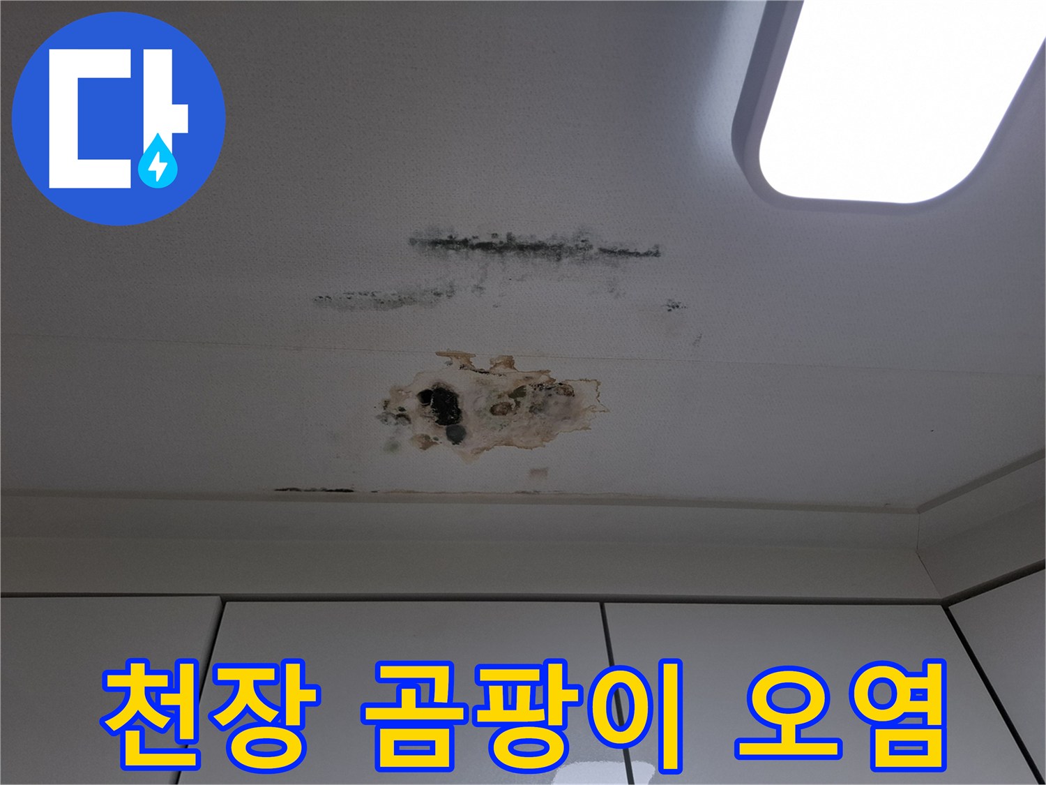 습기로 인해 발생한 천장 내부의 검은 곰팡이와 물자국 현상