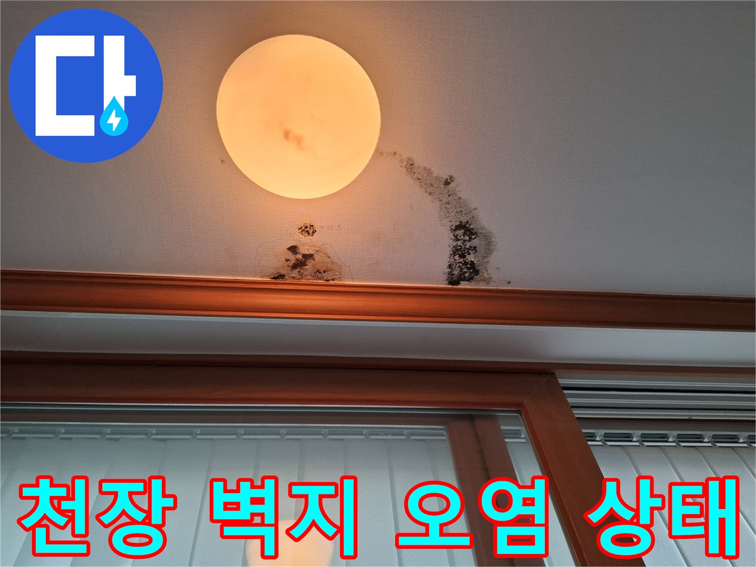 아랫집 거실 천장-누수로 인한 갈색 물자국과 곰팡이 분포