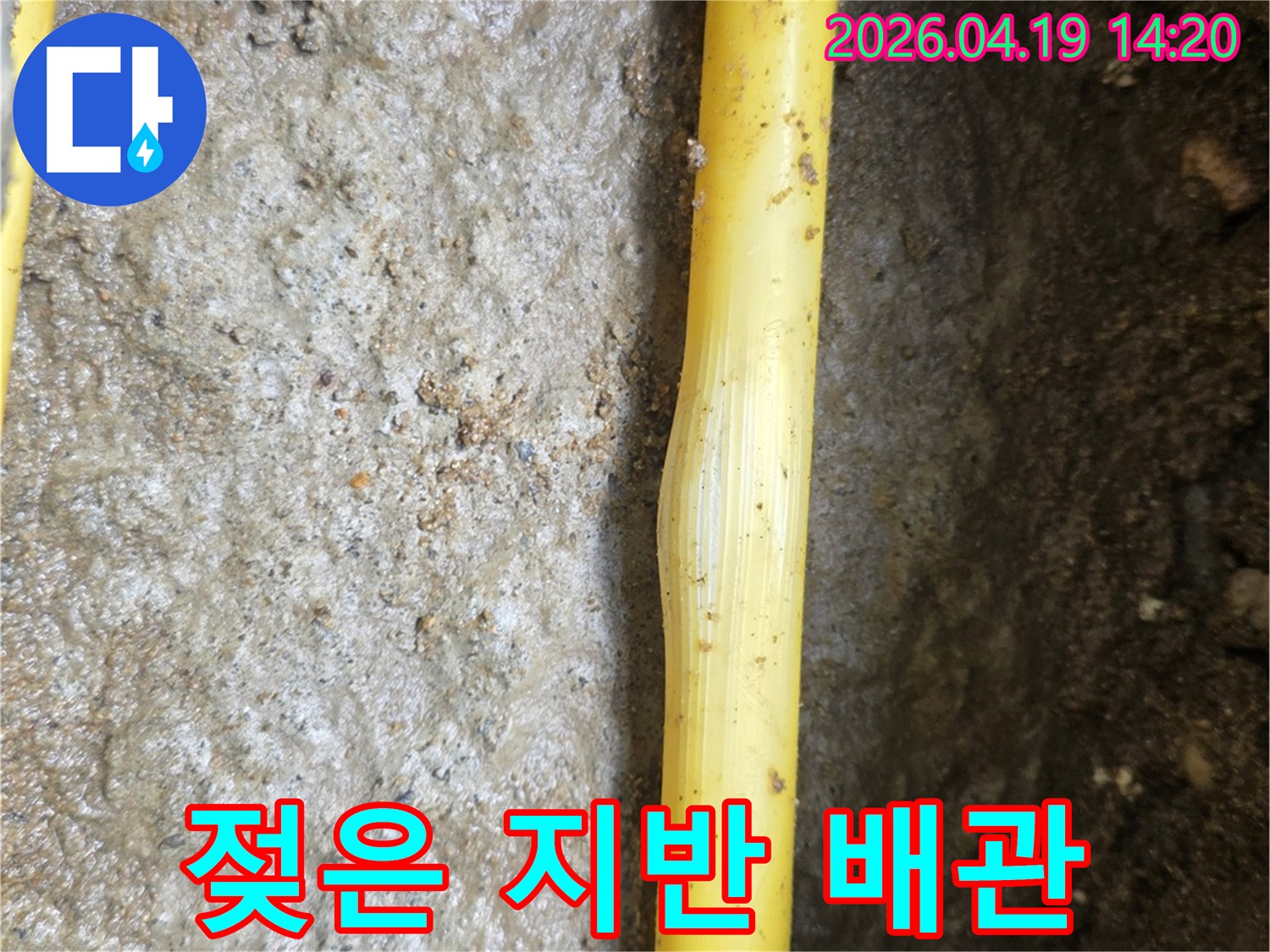 습한 흙 속에 노출된 노란색 배관으로-누수 발생 지점을 명확히 보여주고 있습니다.
