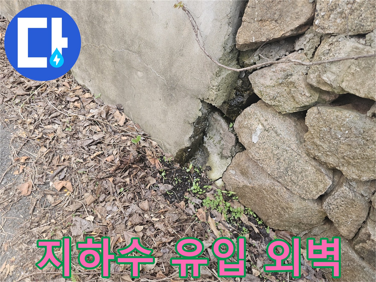 콘크리트 벽과-돌담 사이의-틈새에서-지하수가-유입되어-물이 새는-외벽 누수-현장입니다