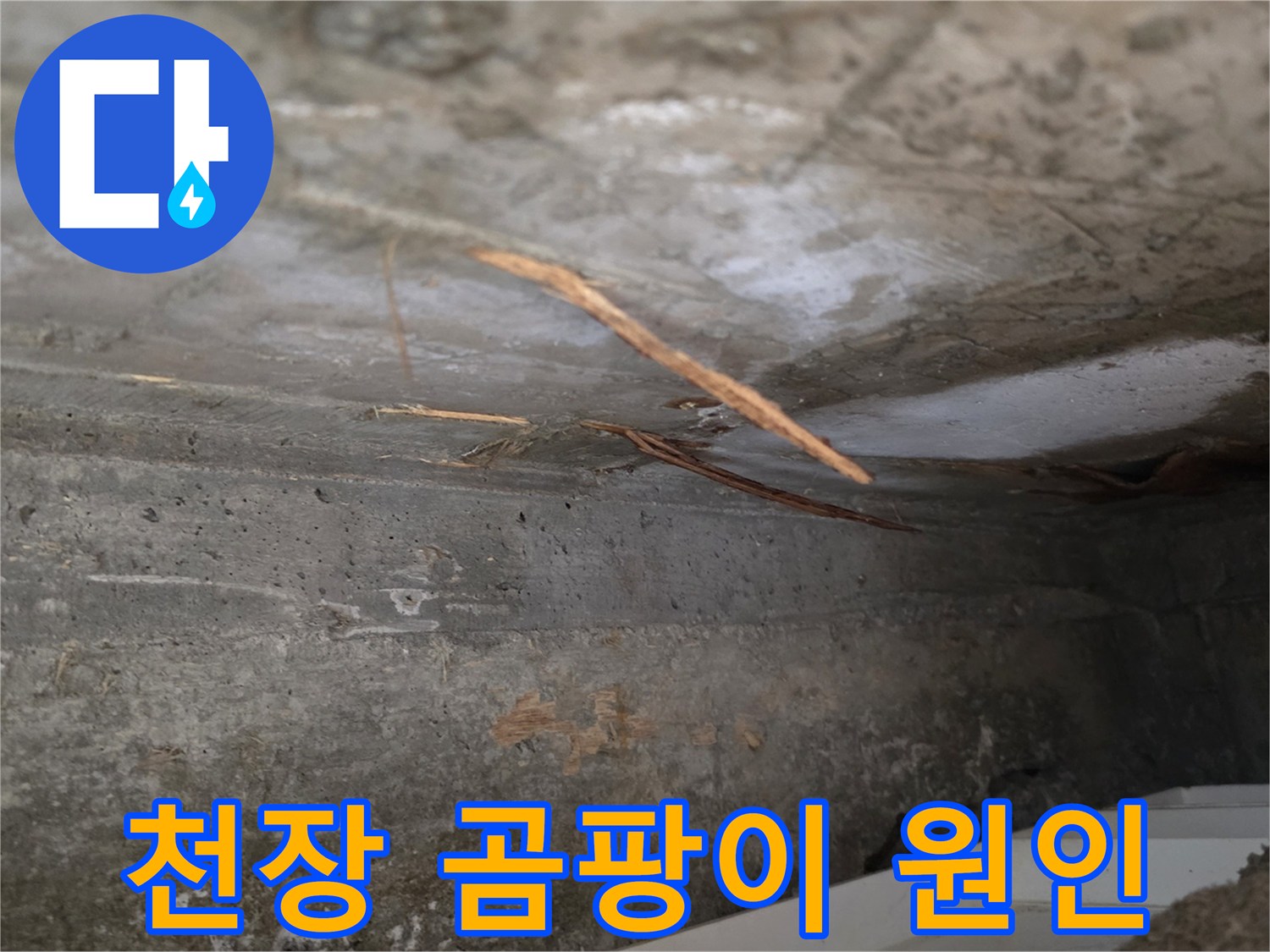물기로 인해-발생한-천장 콘크리트의-곰팡이와-젖은 이물질의-누수 현장