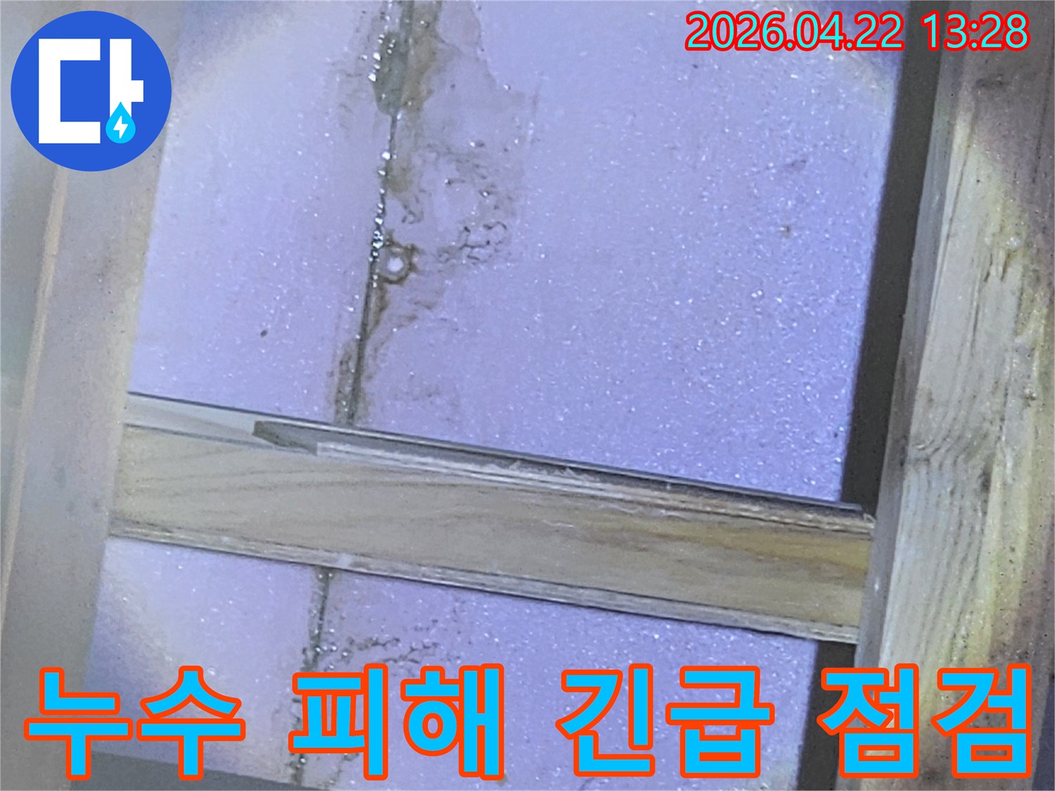 누수로 인해-천장 내부가-물에 젖고-곰팡이가 시작된-긴급한 현장을-보여주는 이미지입니다