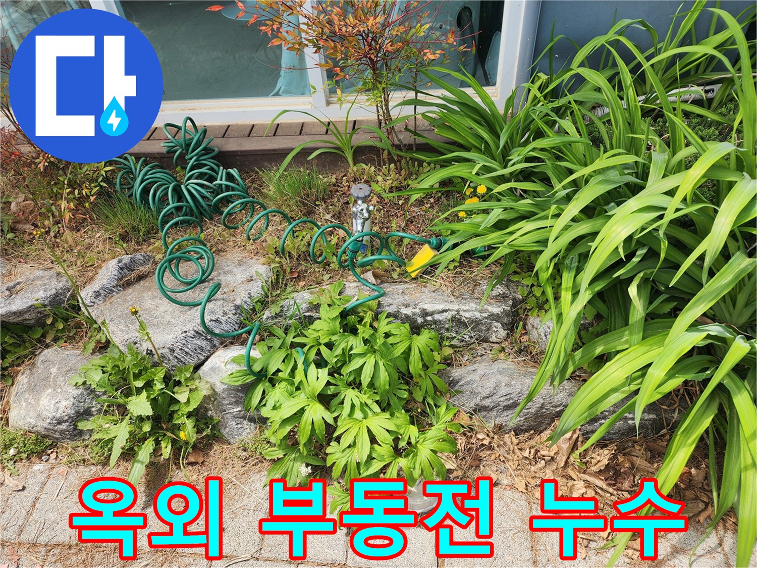 정원에 설치된 부동전과-연결된 호스 주변에서-누수 여부를-전문가가 면밀히-점검하는 현장 모습입니다