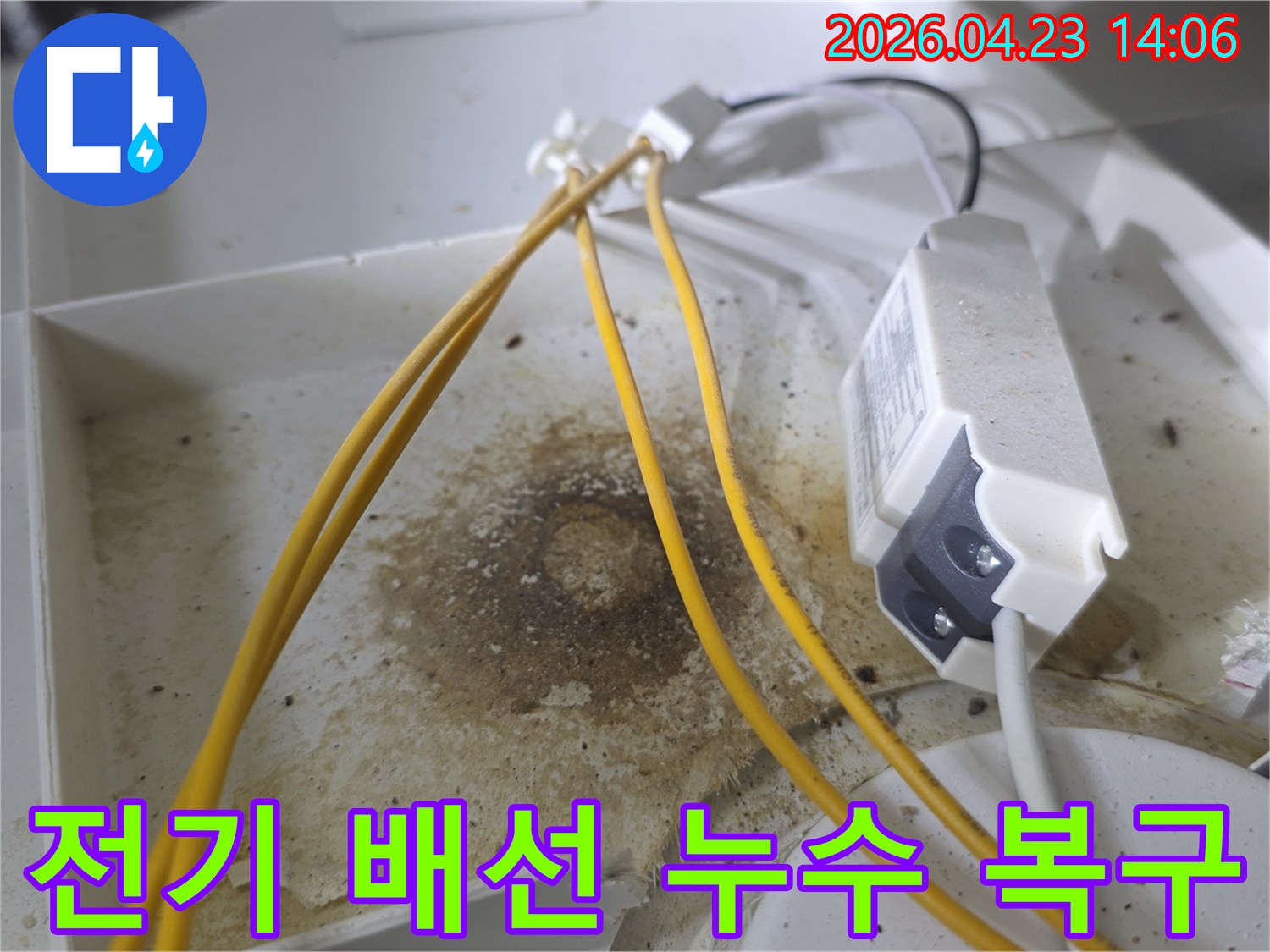 천장 내부 전기 배선과 연결 부위 주변에 짙게 퍼진 물자국과 오염-장기간 누수로 인한 심각한 피해를 보여줍니다-정확한 누수 지점 파악에 필수적인 증거입니다