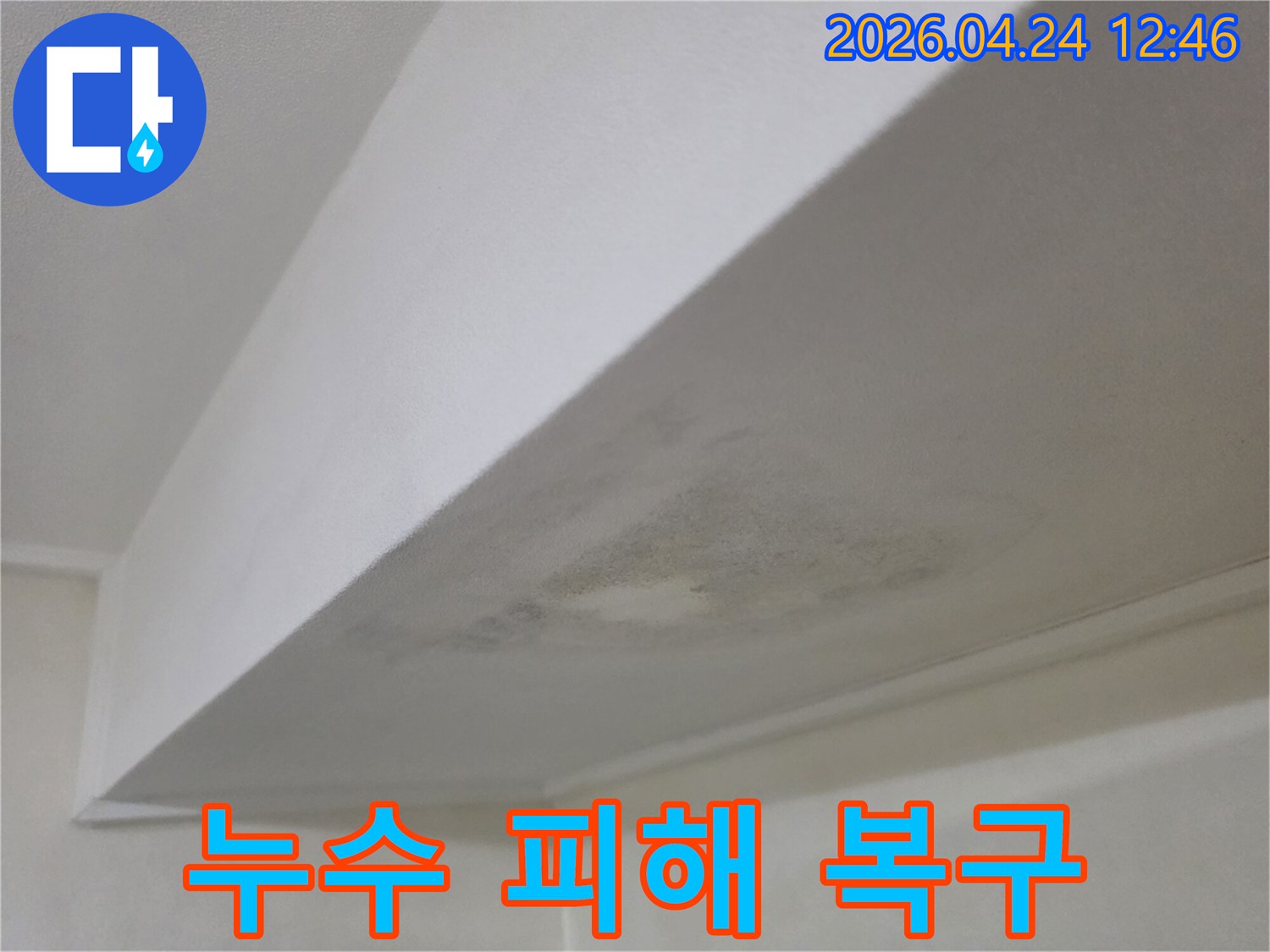 천장에 발생한 누수 피해와 곰팡이-신속한 복구 서비스가 필요한 상황을 보여주는 사진
