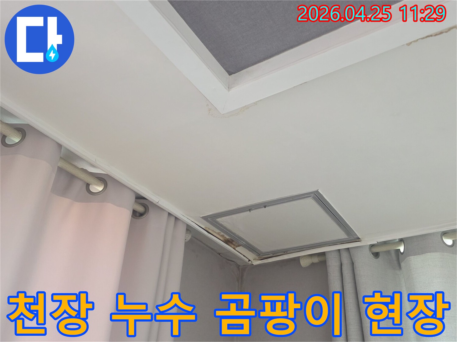 천장-누수로-인해-벽면과-천장에-곰팡이가-생긴-모습