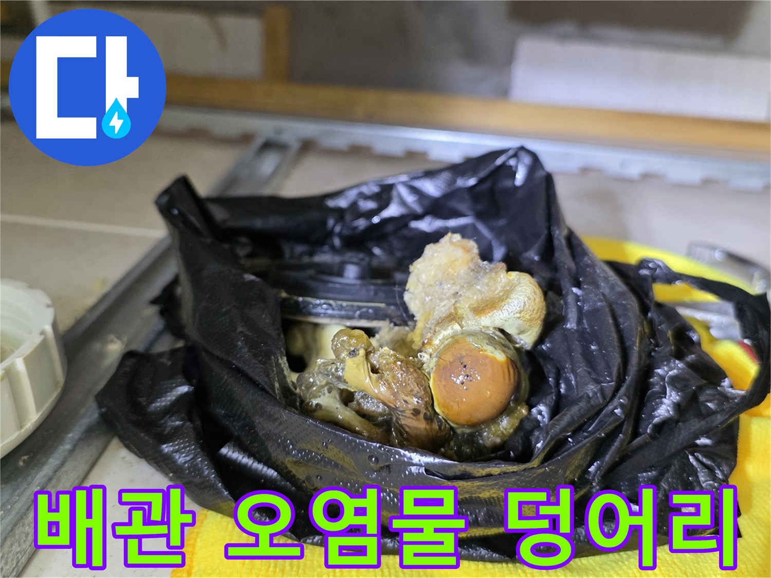 배관-내부에서-나온-커다란-이물질-뭉치