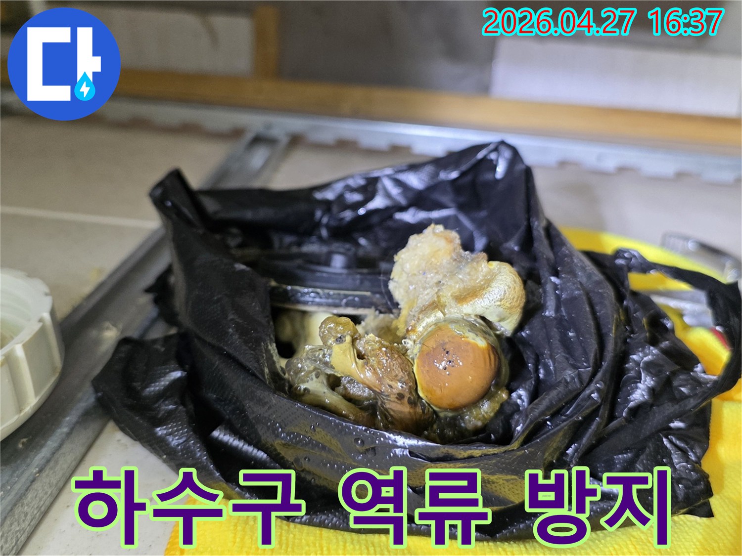 전문-장비로-배관에서-제거한-끈적한-기름-슬러지와-오물-덩어리입니다