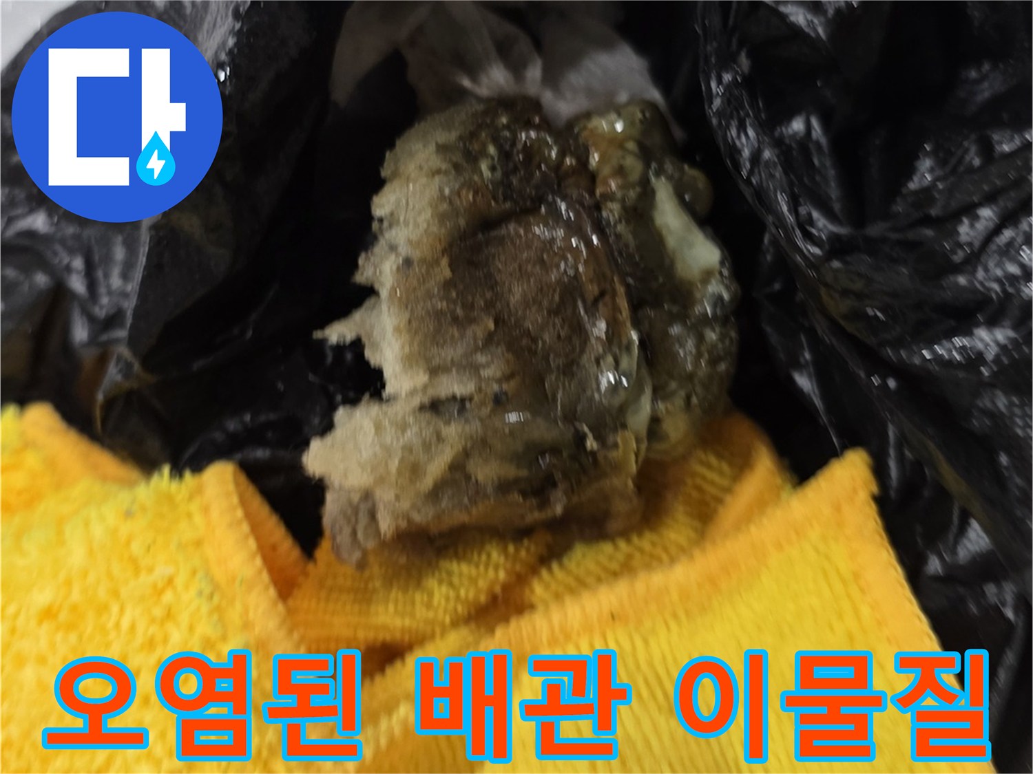 화장실-배관에서 나온 오염물 상태