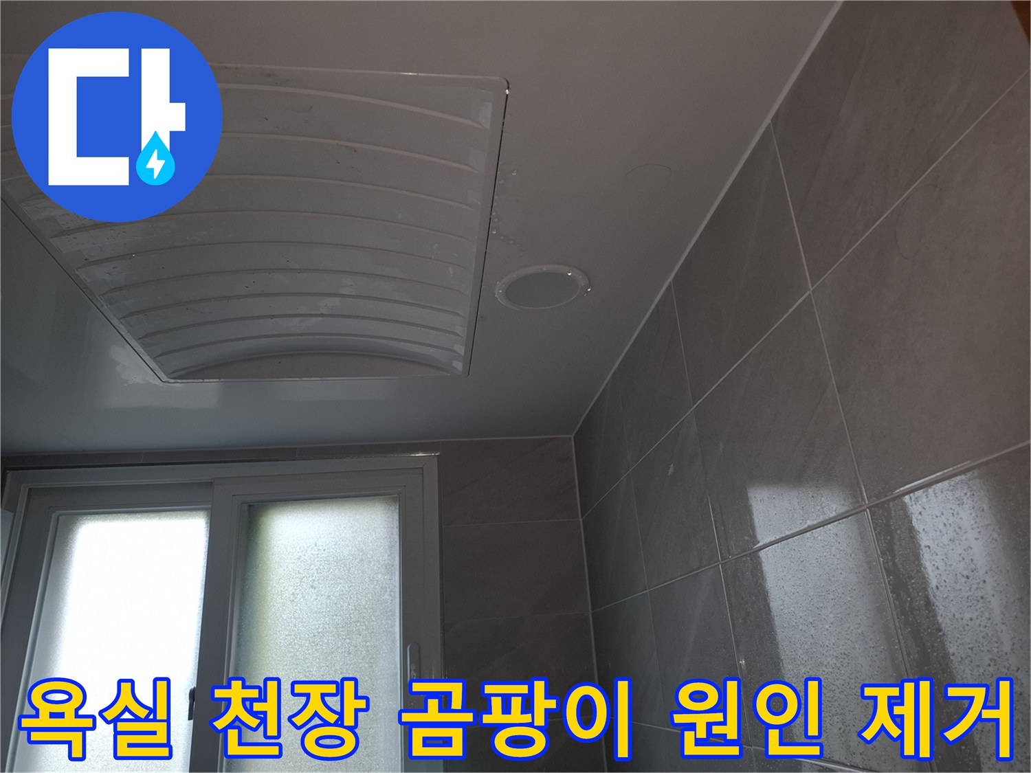 성남 분당 아파트의-아랫집 욕실 천장에-누수로 인한-곰팡이가-발생하여-원인을 파악하고-제거하기 위해-촬영된-이미지입니다