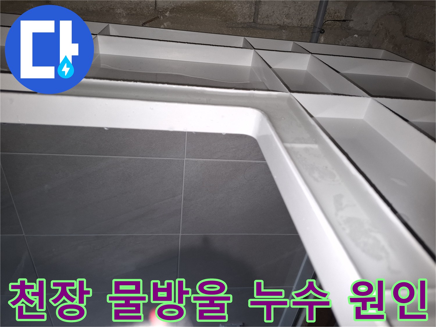 성남 분당 지역의-화장실 천장에서-누수로 인해-물이 고여있는 상태를-보여주는 현장 사진