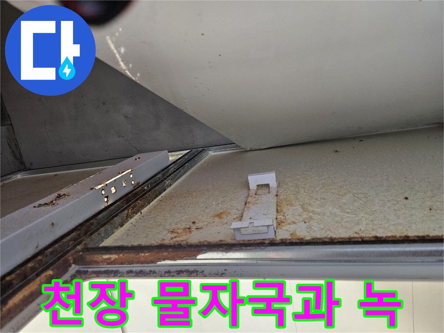 아파트 천장에서 발견된 물자국과 녹-누수로 인한 명확한 손상 증거