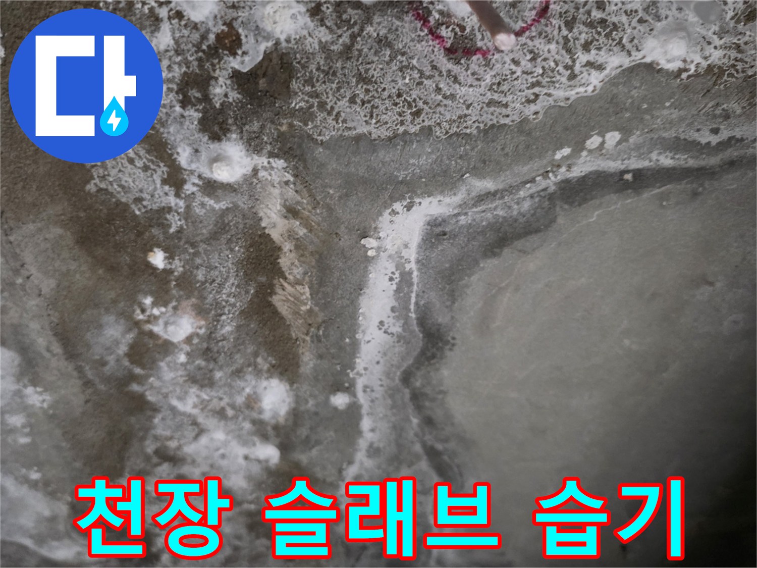 습기가 맺힌 - 천장 콘크리트의 백화 현상과 물자국