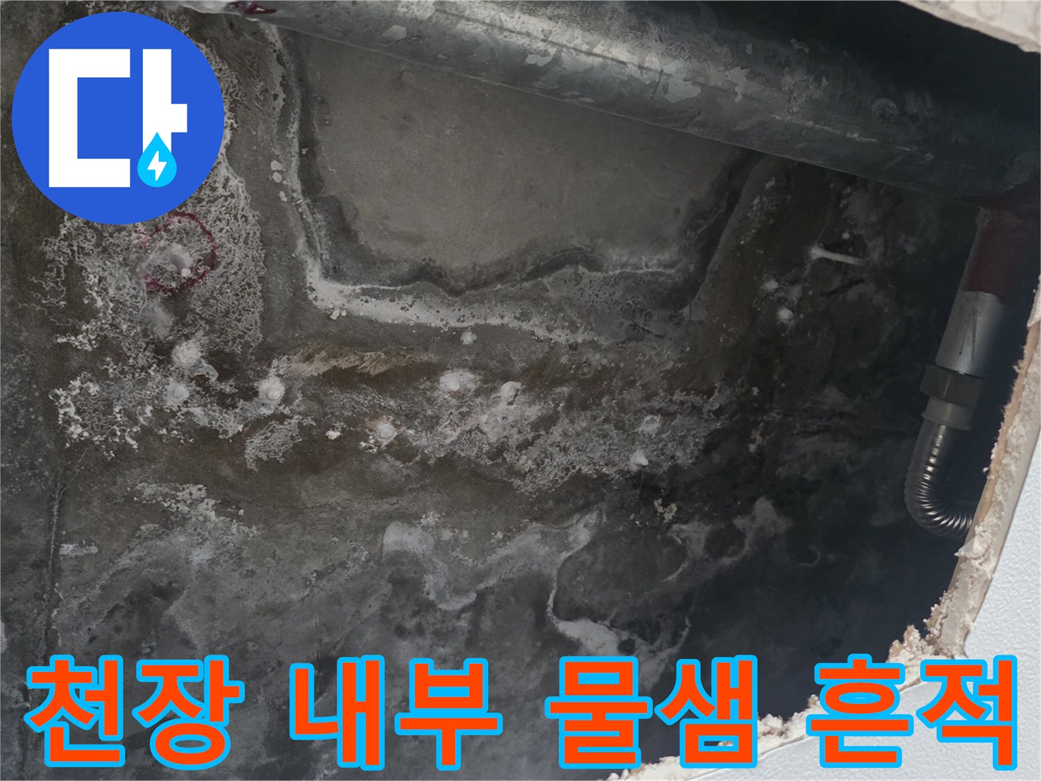 안양 동안구 아파트-천장 내부 배관 주변의 젖은 콘크리트 상태