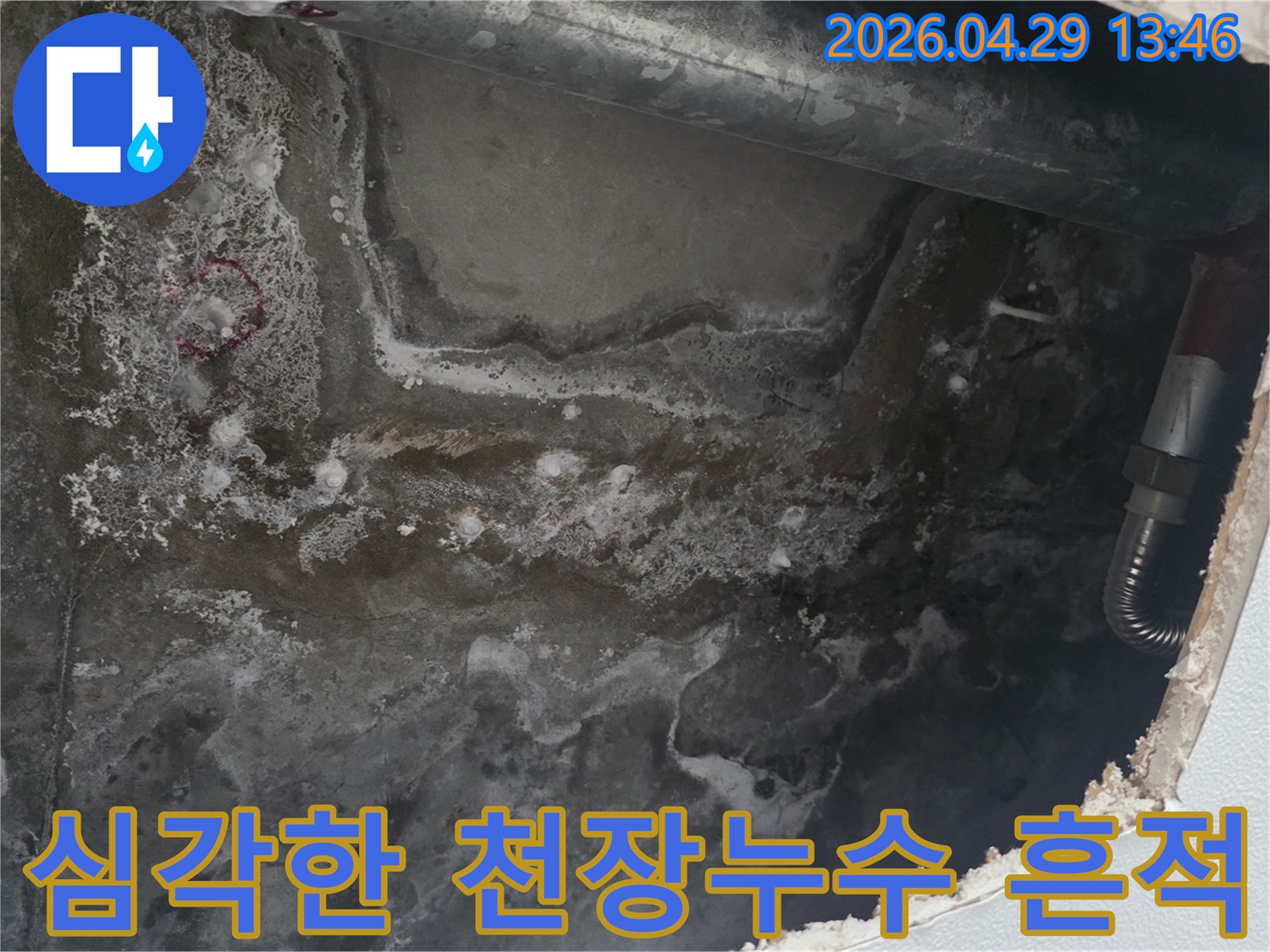 오랜 시간 누수로-인해 천장 콘크리트 표면에 심각한 물자국과 곰팡이가-발생한 모습입니다.