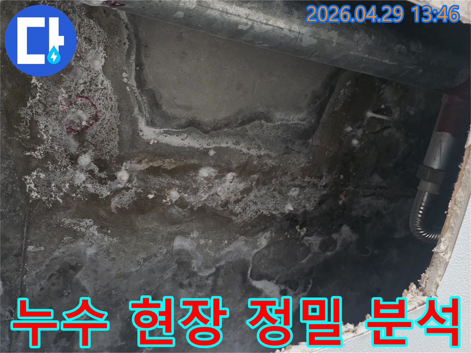 천장 콘크리트 표면에-누수로 인한 물자국과-곰팡이가 광범위하게 퍼져있는 현장 사진입니다.