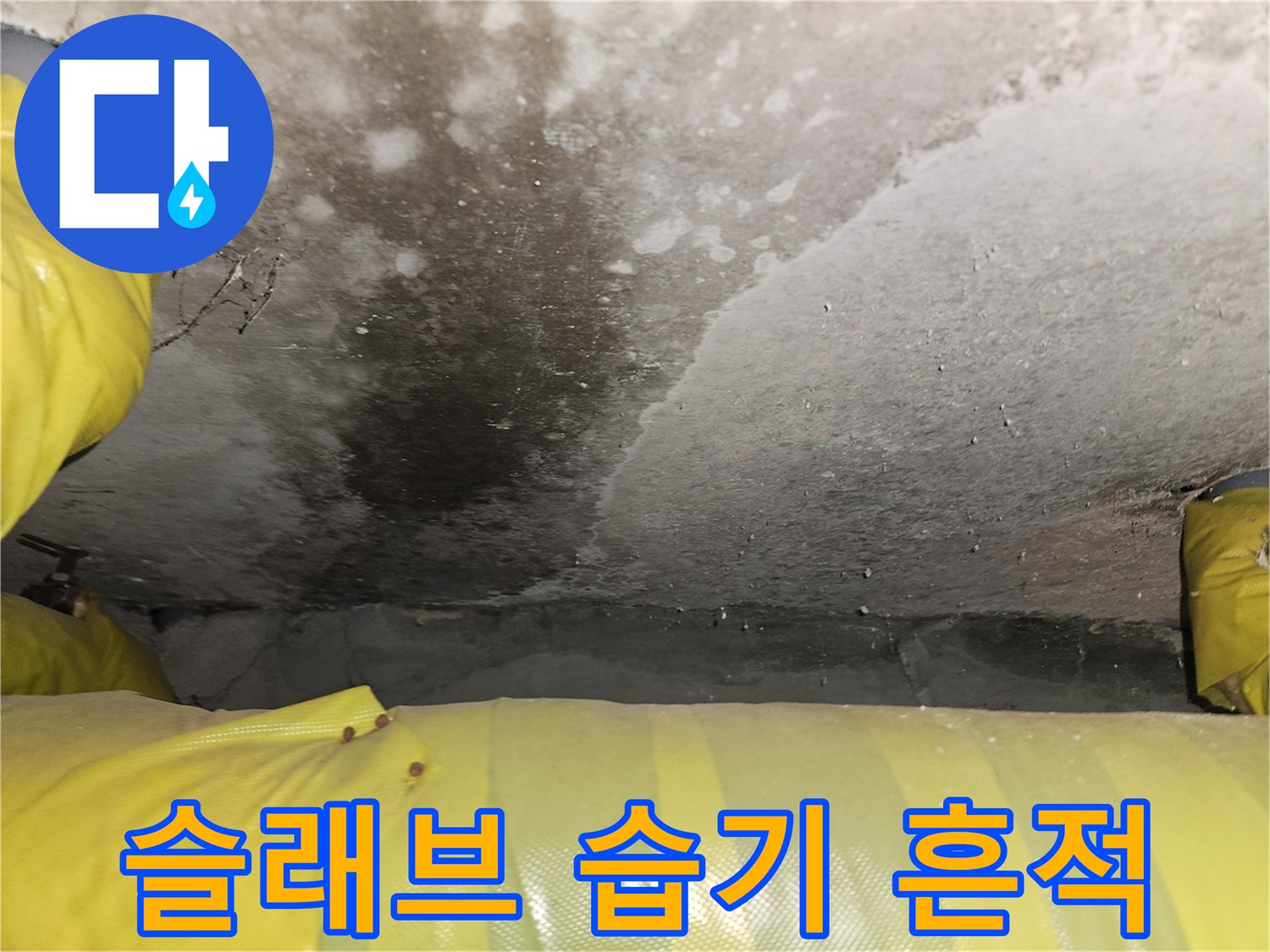 천장 내부-습기가 침투한 콘크리트 면