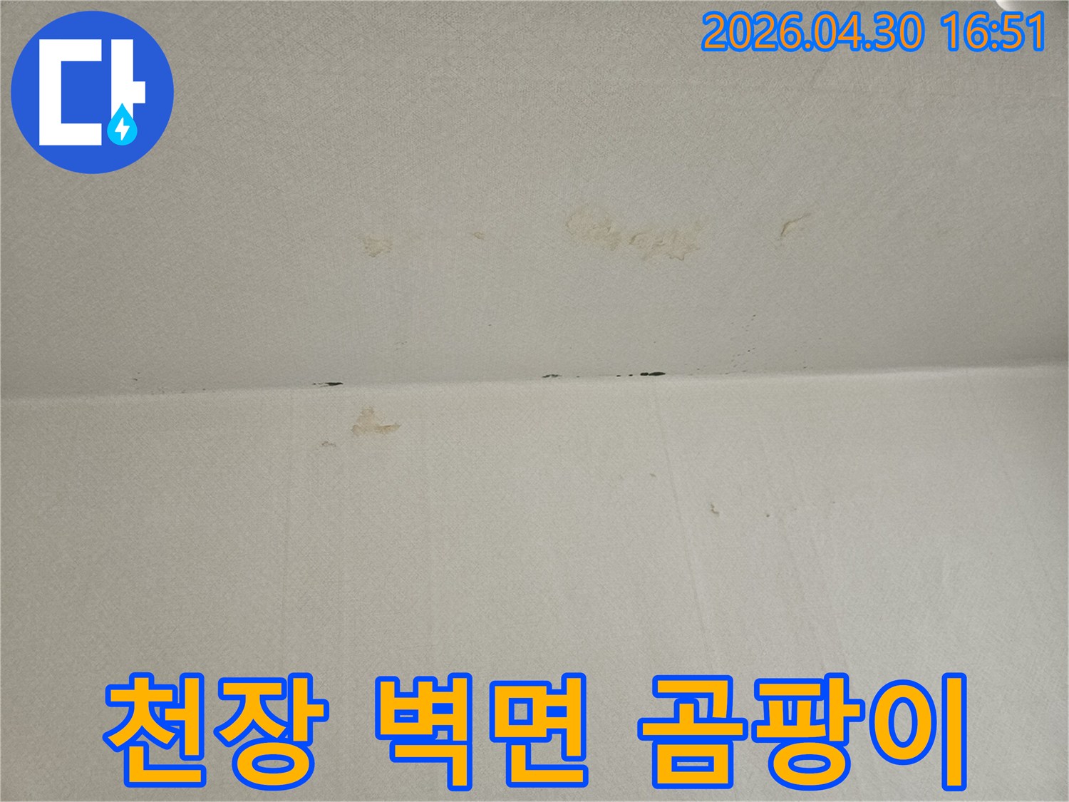천장과-벽면-경계에-보이는-곰팡이와-누수-자국은-지속적인-습기-유입을-시사하며-정밀-탐지가-필요합니다