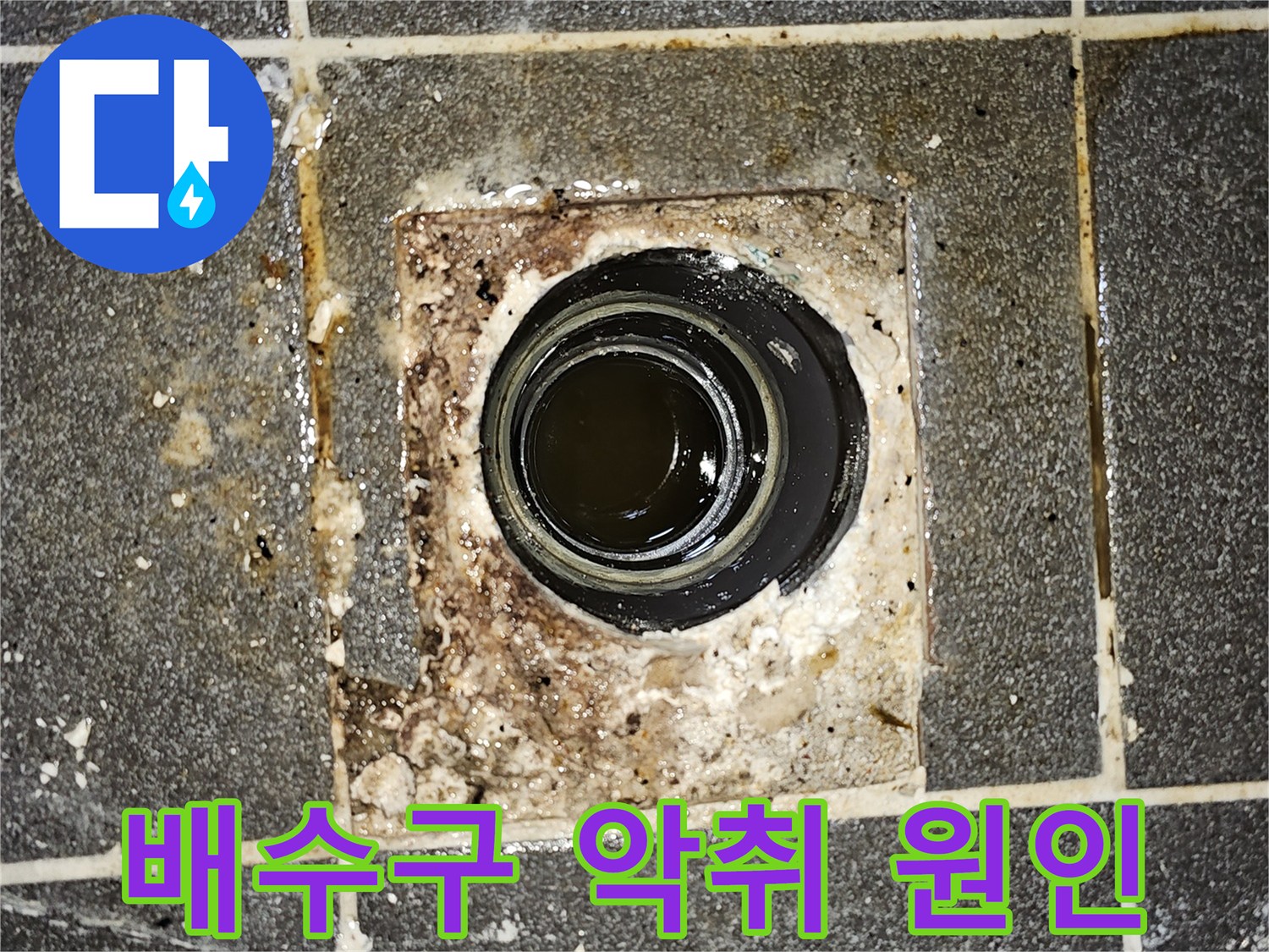 배수구에서 오수가 역류하여-바닥에 고여있는 모습을 보여주는-악취 발생 현장의 사진입니다.