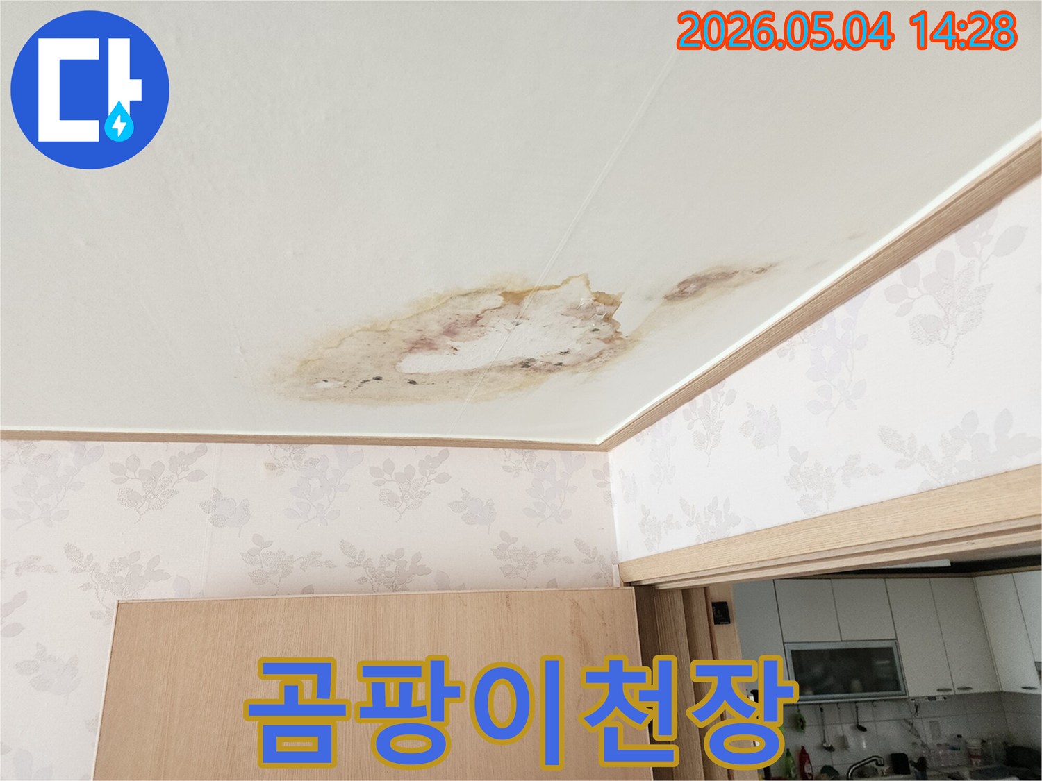 주택 천장에 물이 스며들어 발생한 누수 자국과 곰팡이-전문가의 정밀 진단이 시급합니다