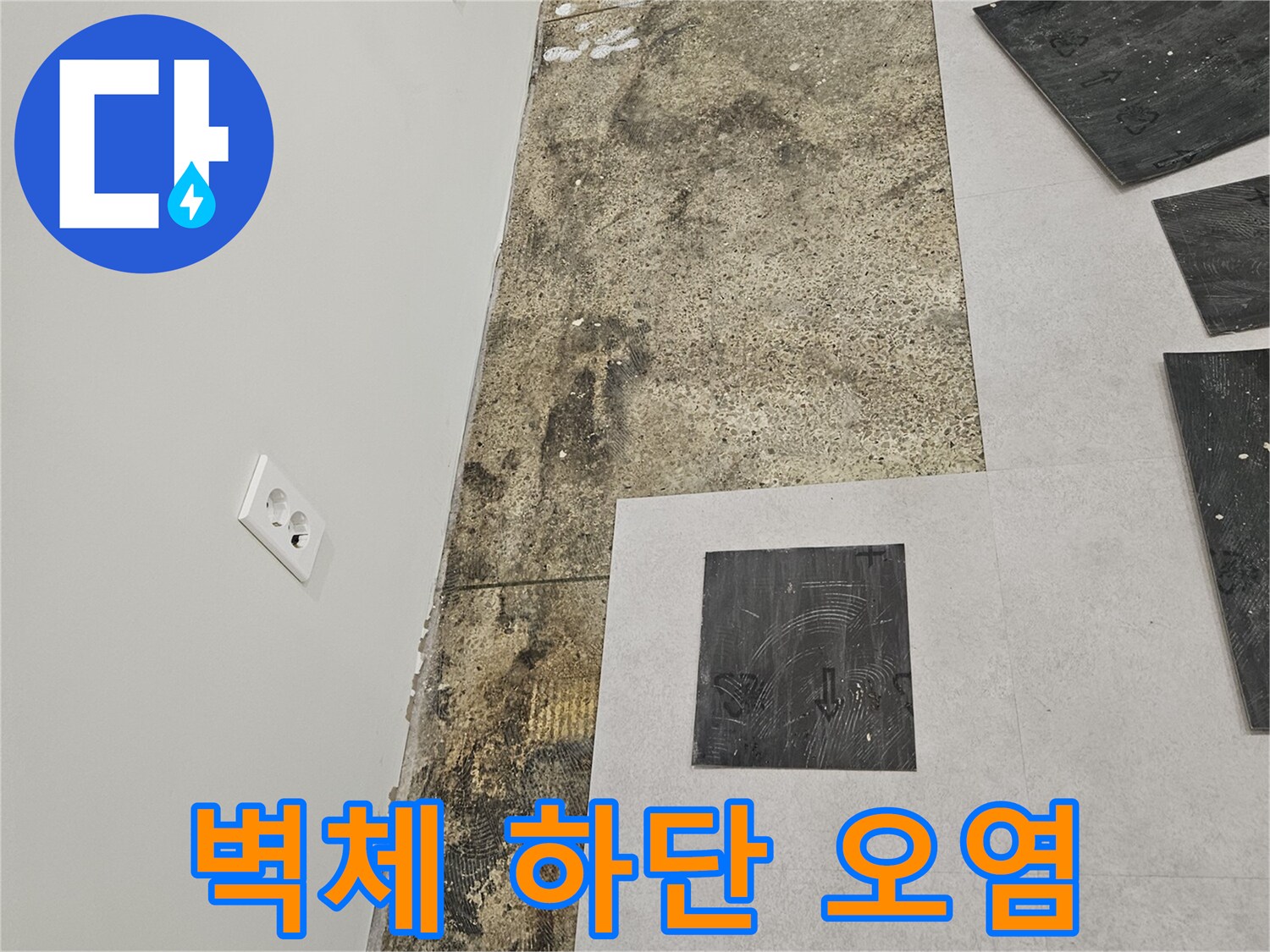 습기-와-곰팡이가-번진-사무실-벽체-하단부-사진