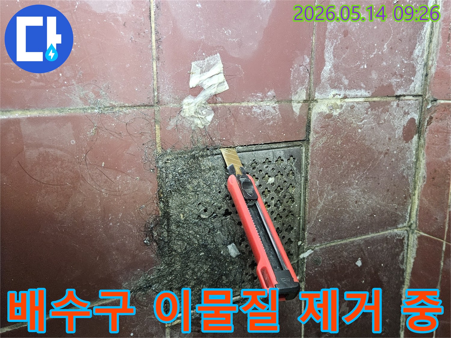 오래된 욕실 배수구에 엉킨 머리카락과 슬러지를 커터칼로 긁어내며 누수 탐지 준비를 하는 모습