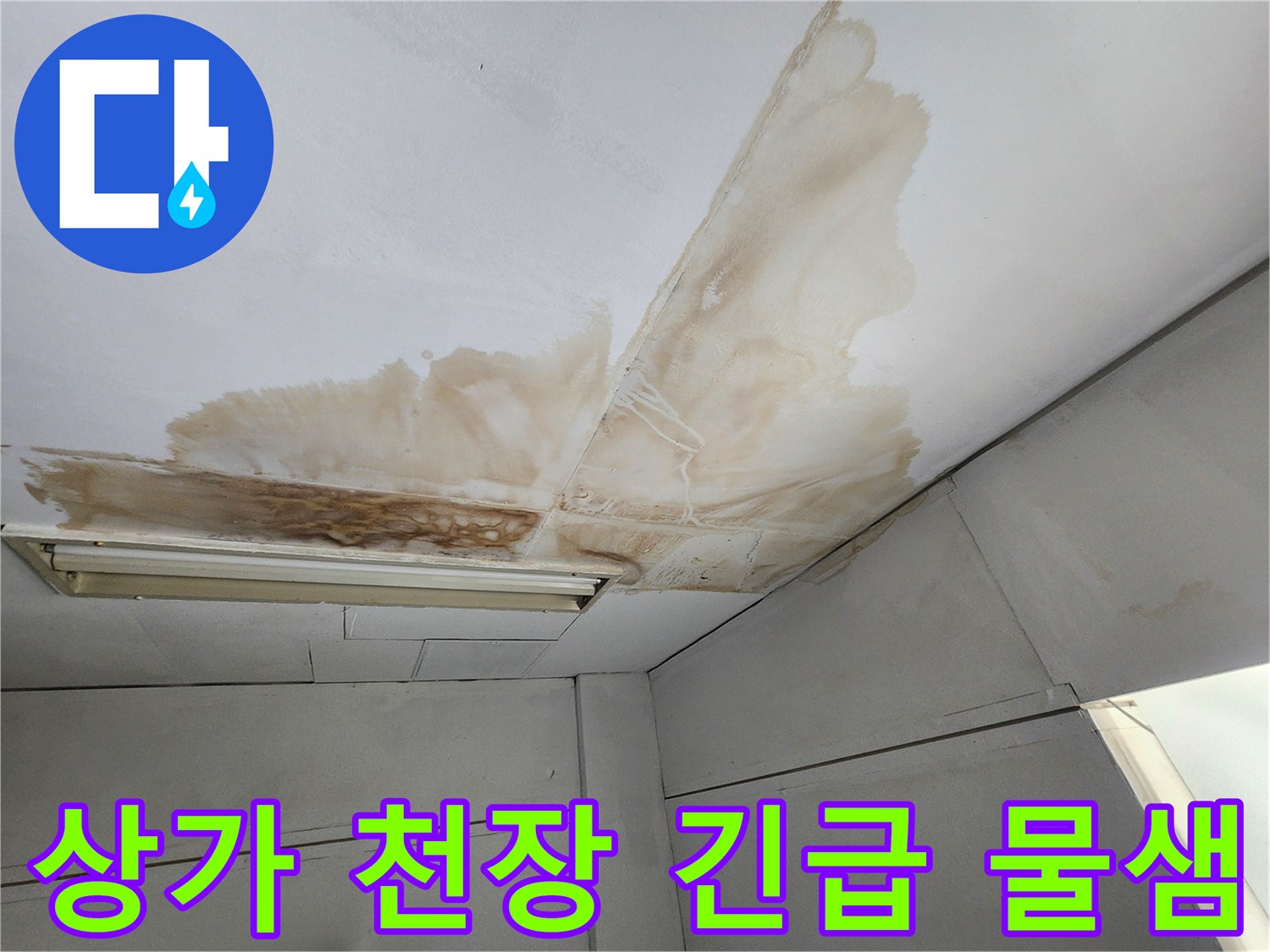 상가 천장 표면에 물이 새어 발생한 갈색 얼룩과 곰팡이가 확산된-긴급 복구가 필요한 모습
