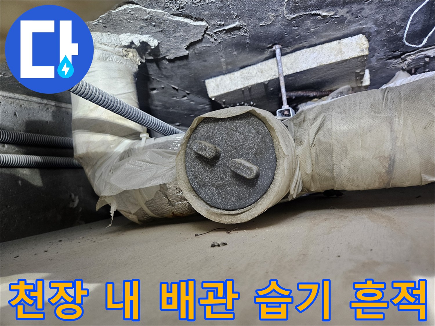 젖어 있는 배관 단열재와 전선관의 모습
