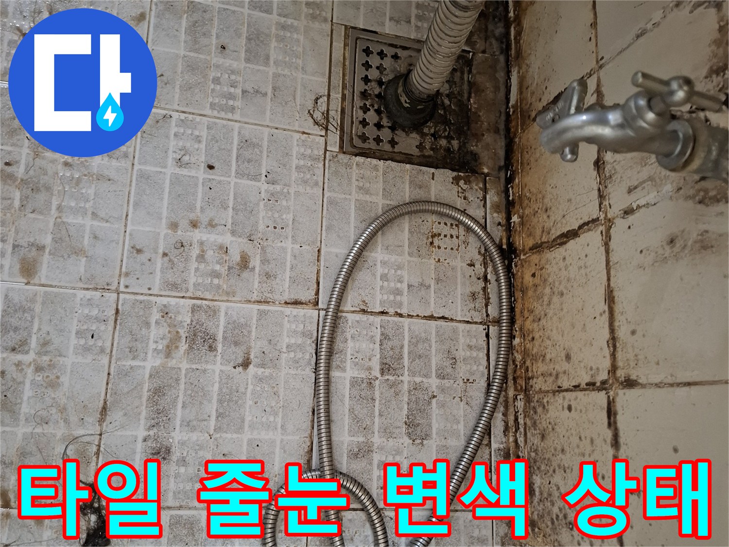 욕실 배수구 주변-곰팡이로 오염된 타일 표면