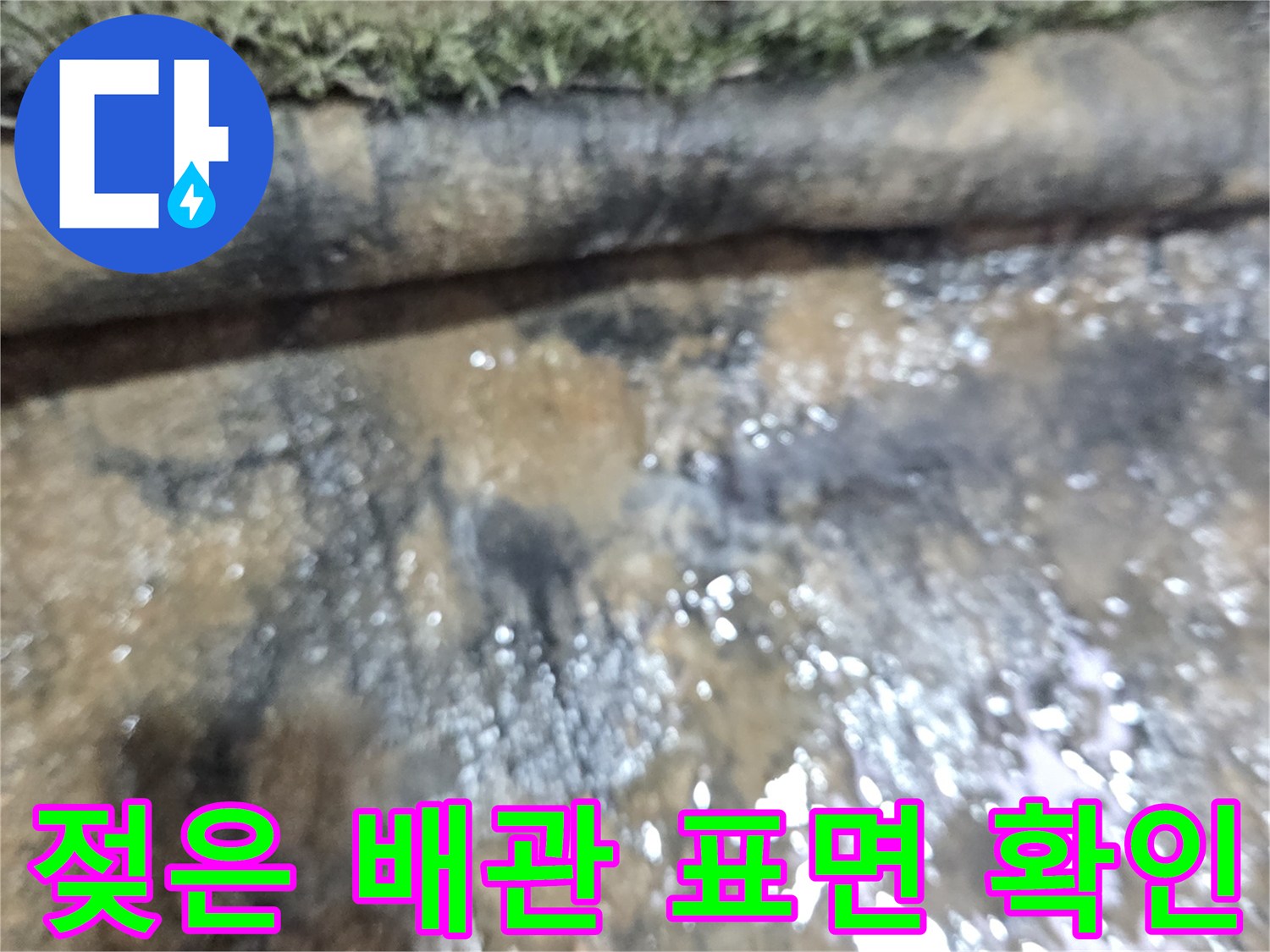 물기가 흥건한 하수관 주변 모습