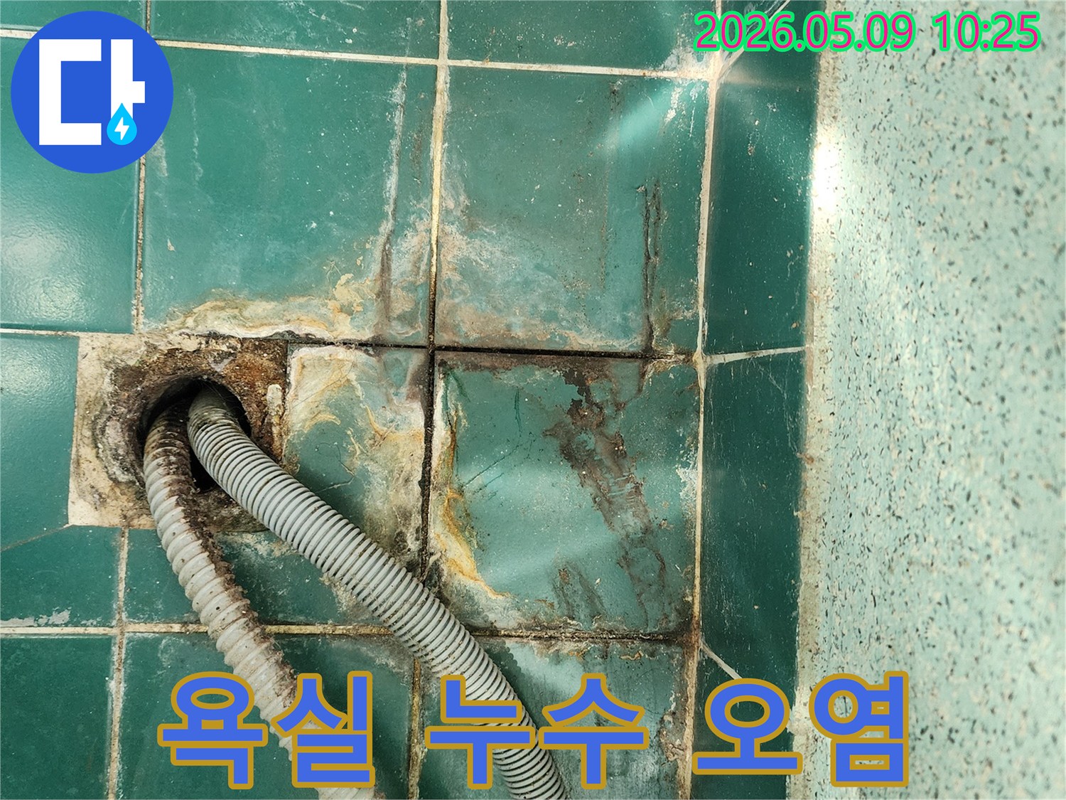 배수구 주변 타일과 줄눈이 물에 의해-심하게 오염되고 부식된 상태를 나타냅니다
