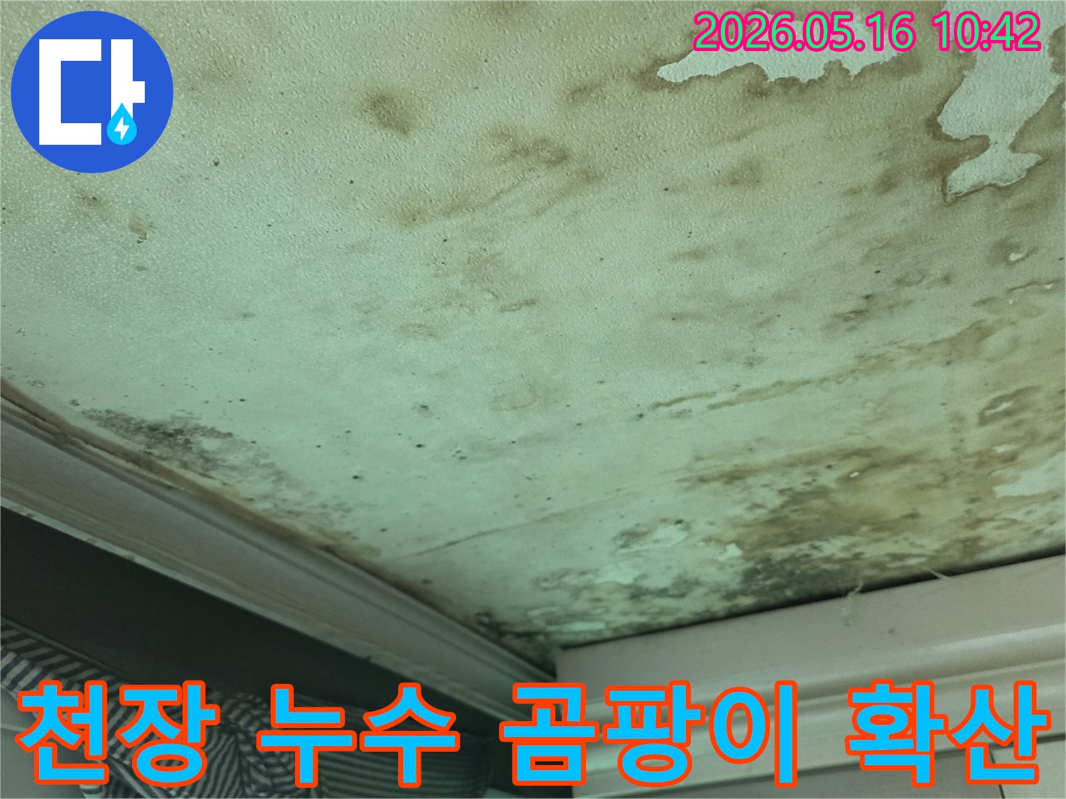 누수로-인해-천장에-발생한-물자국과-곰팡이가-넓게-확산된-심각한-상태입니다