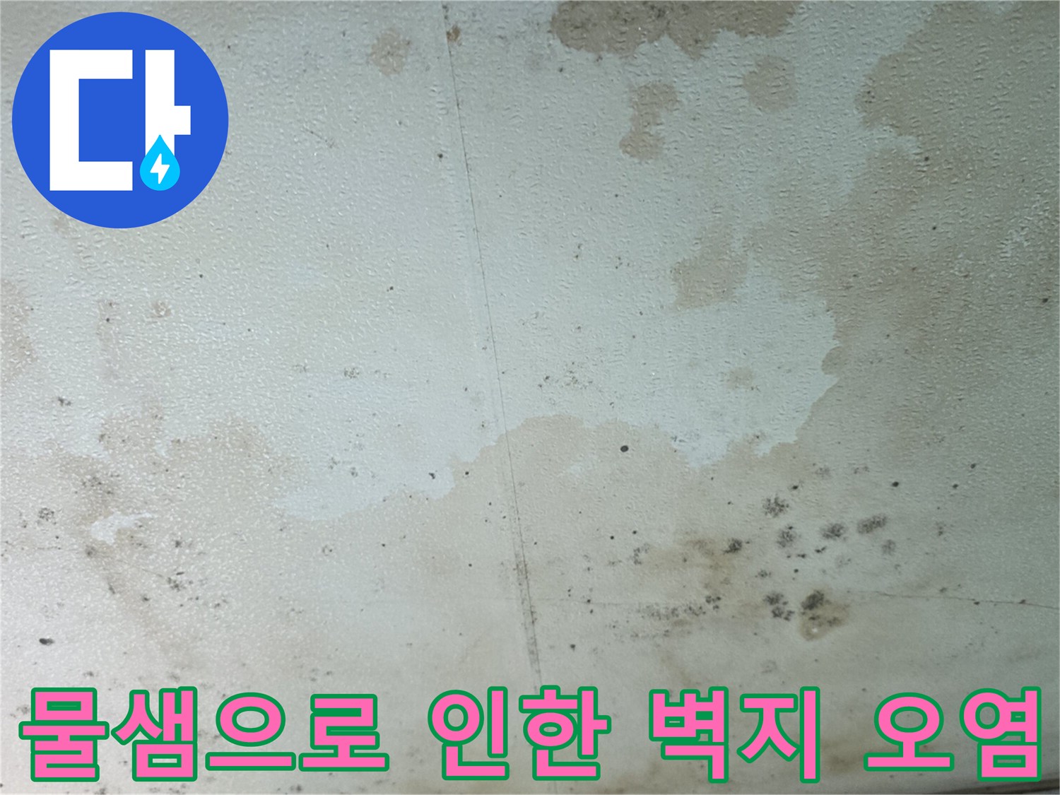 축축하게 젖은 벽지와 곰팡이가 피어오른 천장 부위