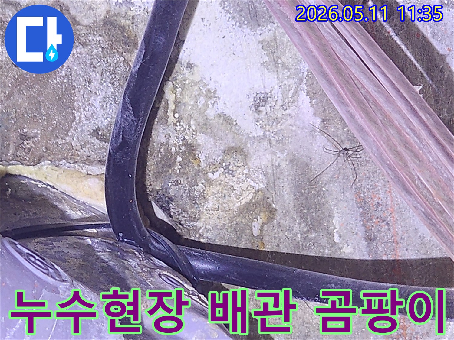 누수-탐지-현장에서-발견된-오래된-배관과-습기-찬-벽면의-곰팡이-흔적