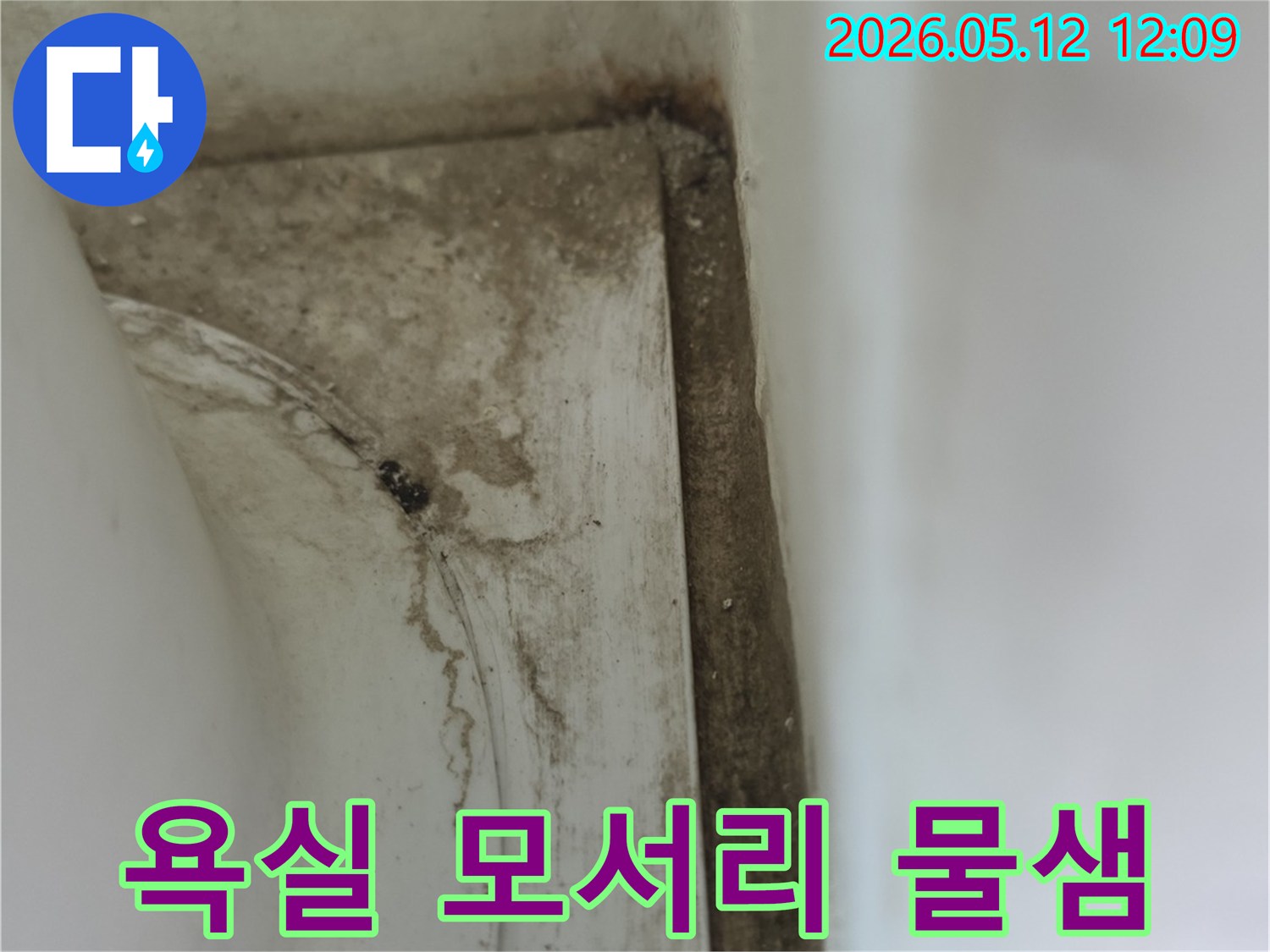 욕실-모서리-부분에-발생한-오래된-물샘-자국과-그로-인한-곰팡이-오염