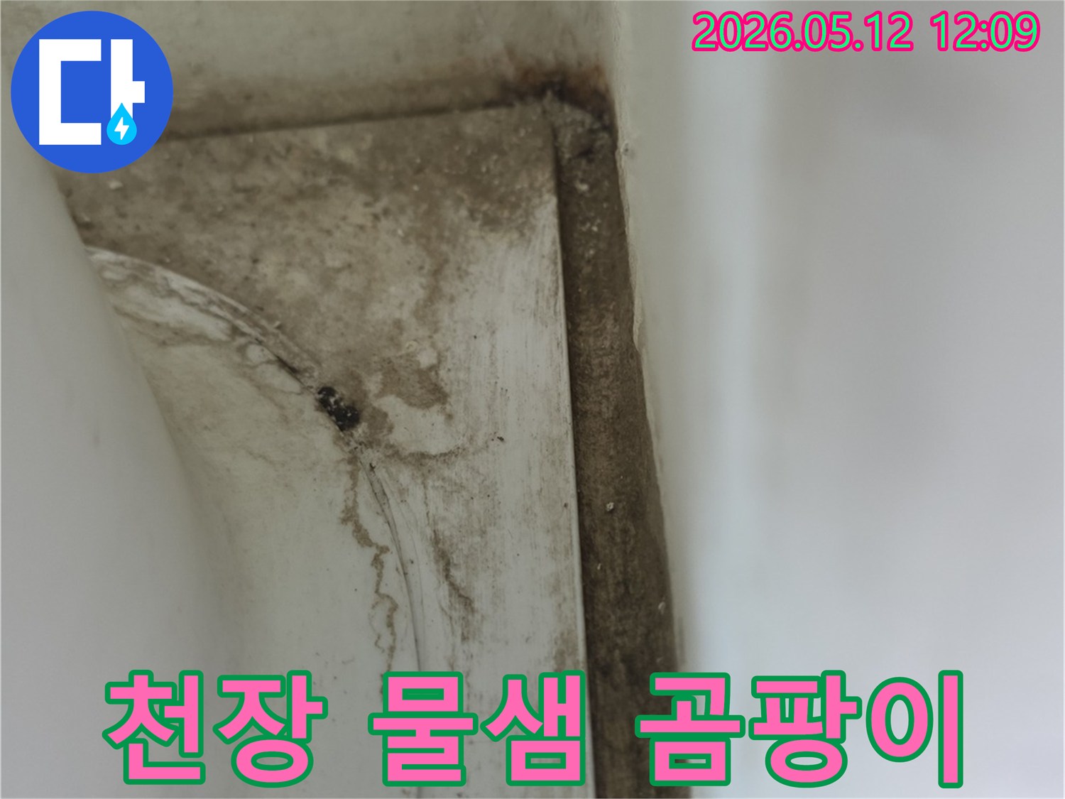 욕실-천장-모서리에-발생한-오래된-물샘-자국과-곰팡이-자국으로-인한-손상