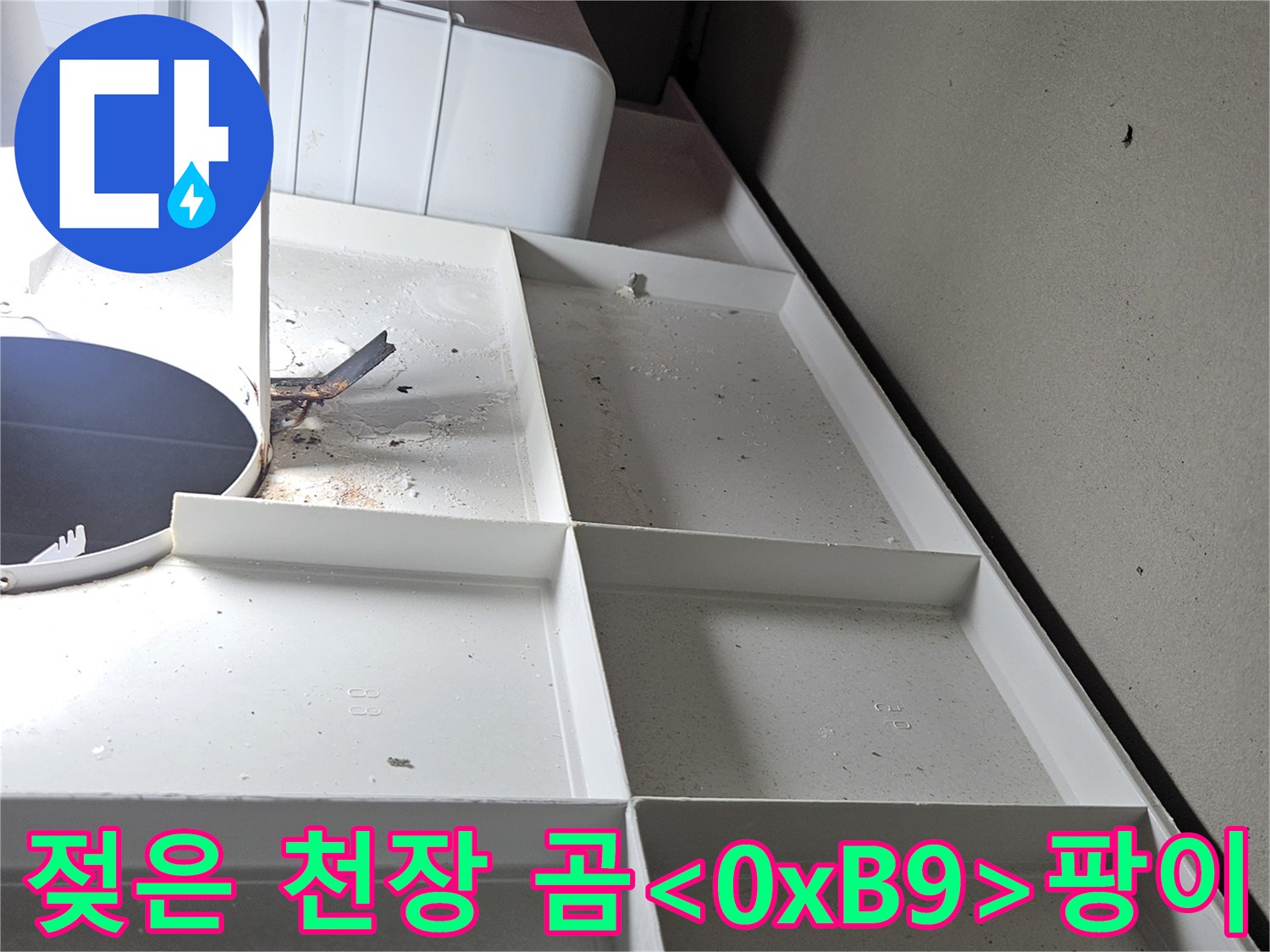 화장실 천장재 주변-습기로 인해 발생한 곰팡이와 오염