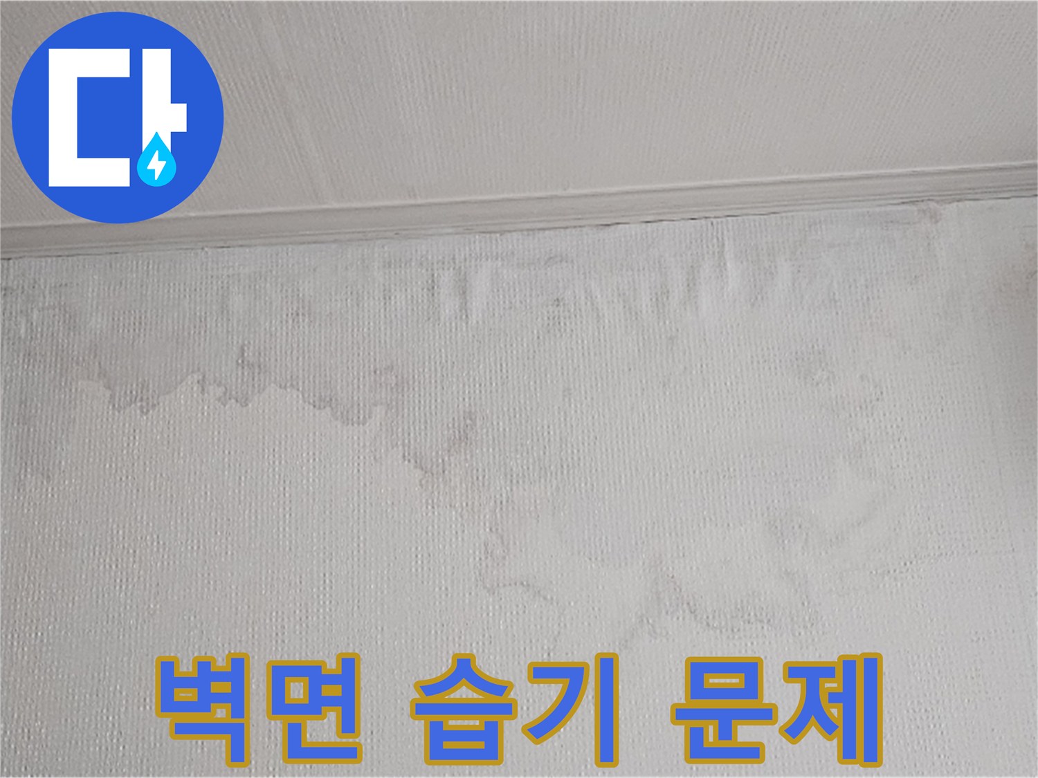 벽면에 나타난 물 얼룩과 벽지 손상은 누수의 명확한 증거입니다-전문 장비를 이용한 정밀 탐지가 필수입니다