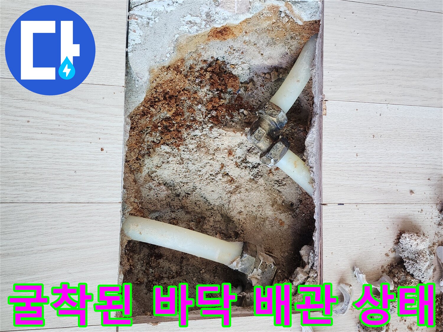 누수-지점의-배관-연결-부위-및-젖은-토양