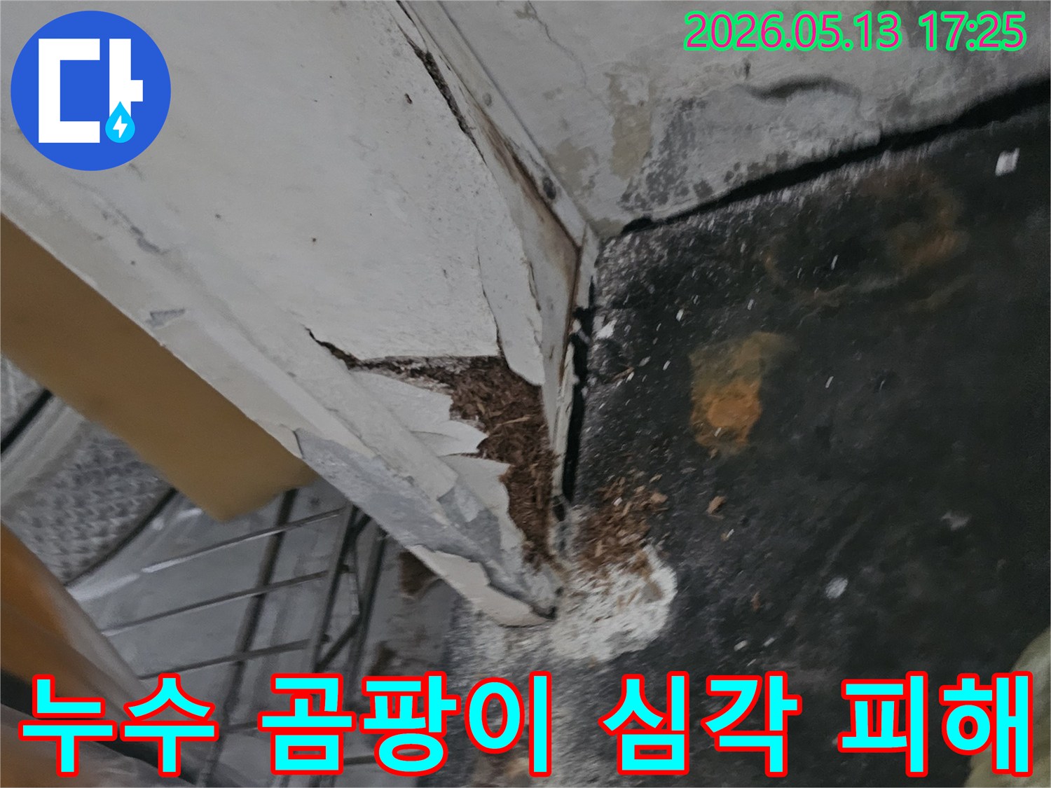 천장과 벽면 모서리에 누수로 인한 곰팡이와-페인트 손상이 심각한 상태를 보여주는 이미지입니다-정확한 누수 원인 파악이 중요합니다