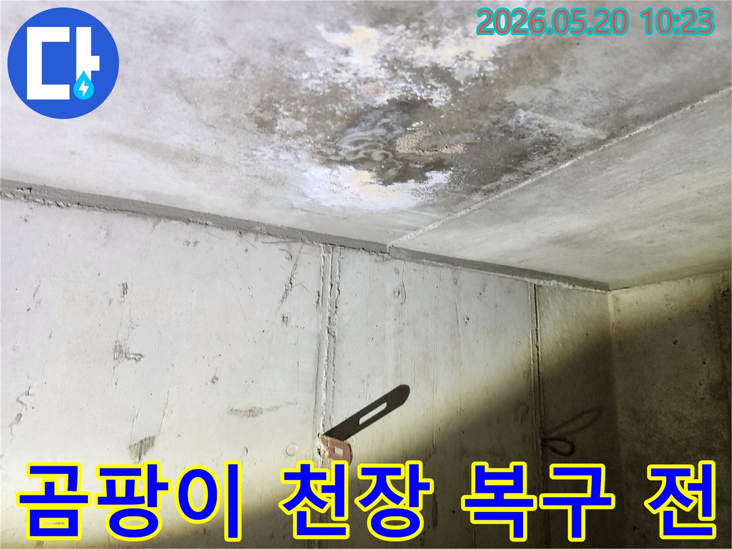 곰팡이와 물자국으로-심하게 오염된 콘크리트 천장의-복구 전 모습