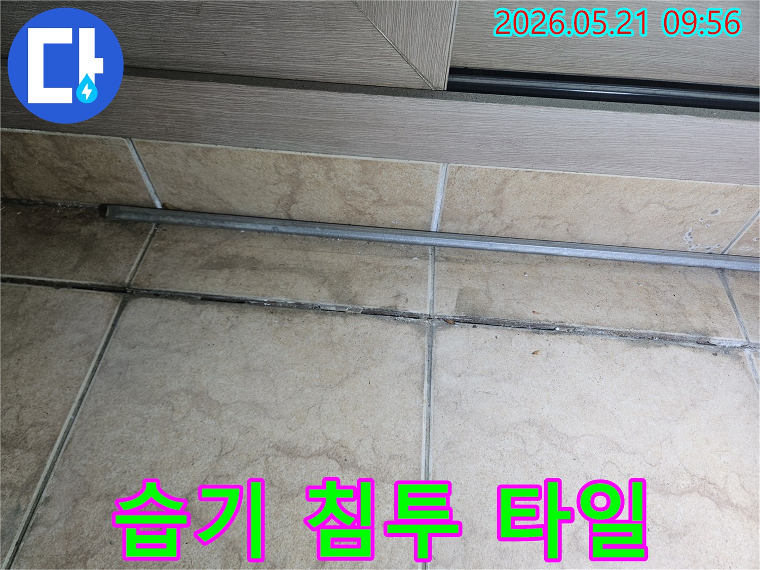 습기-침투로-인해-오염된-타일-틈새와-그-주변의-모습을-보여주는-현장-사진