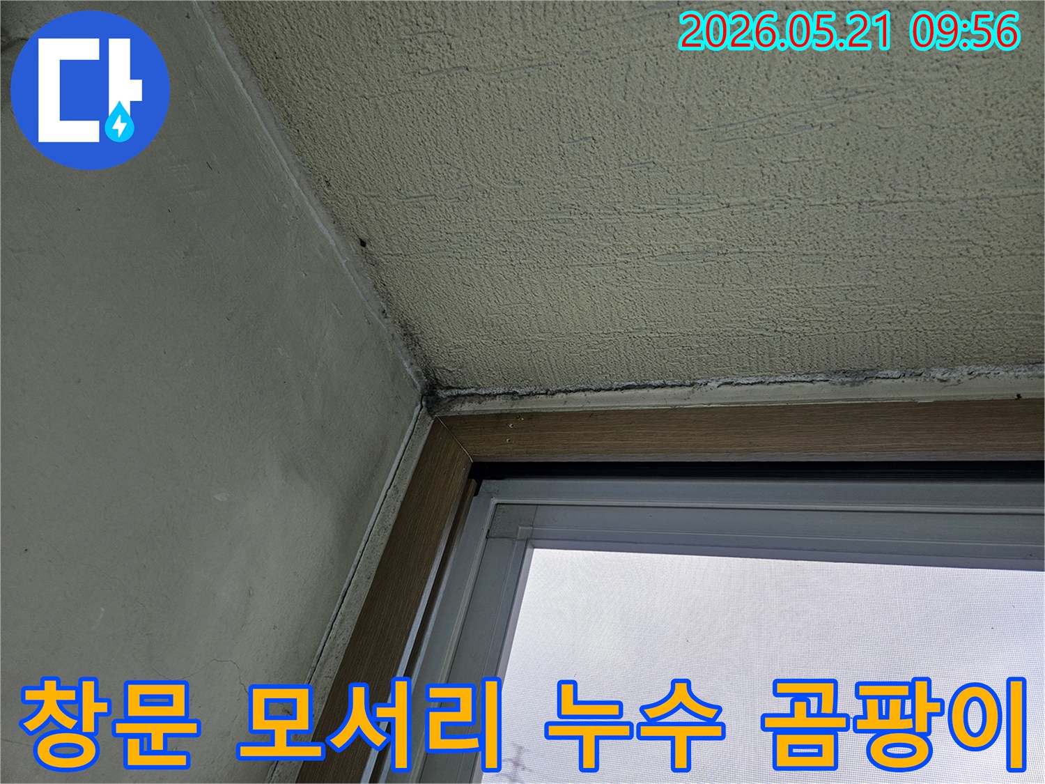 창문 모서리 벽면에 발생한-검은 곰팡이와-물기로 인한 벽면 손상을 보여주는-아파트 내부 벽의 상세 사진