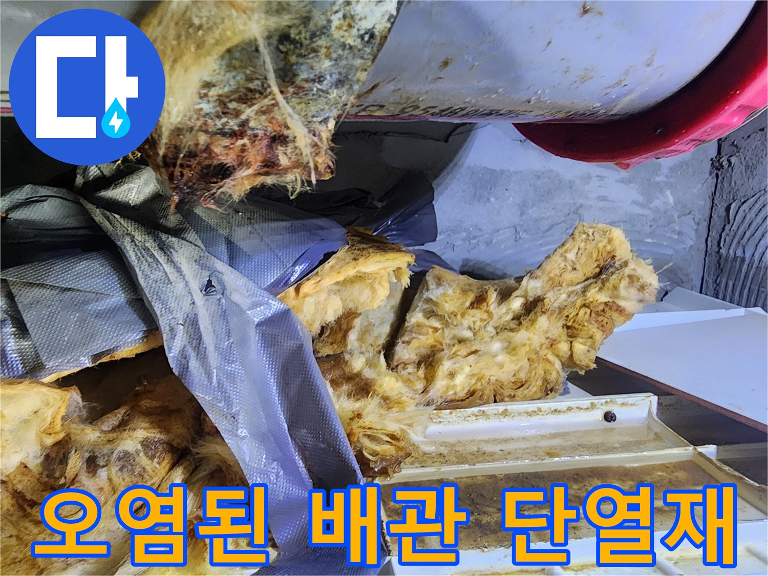 천장-내부-오수관-주변의-심한-오염-상태