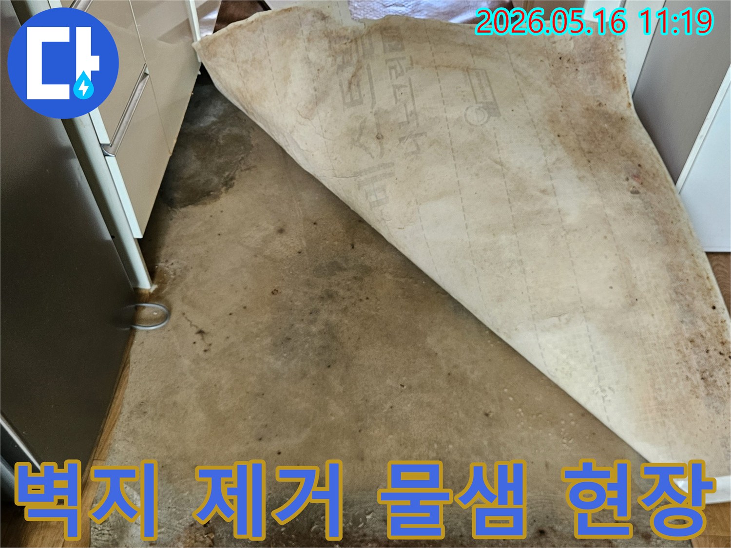벽지를 제거한-후-드러난-벽면의-물샘-현장과-오염-상태를-보여줍니다